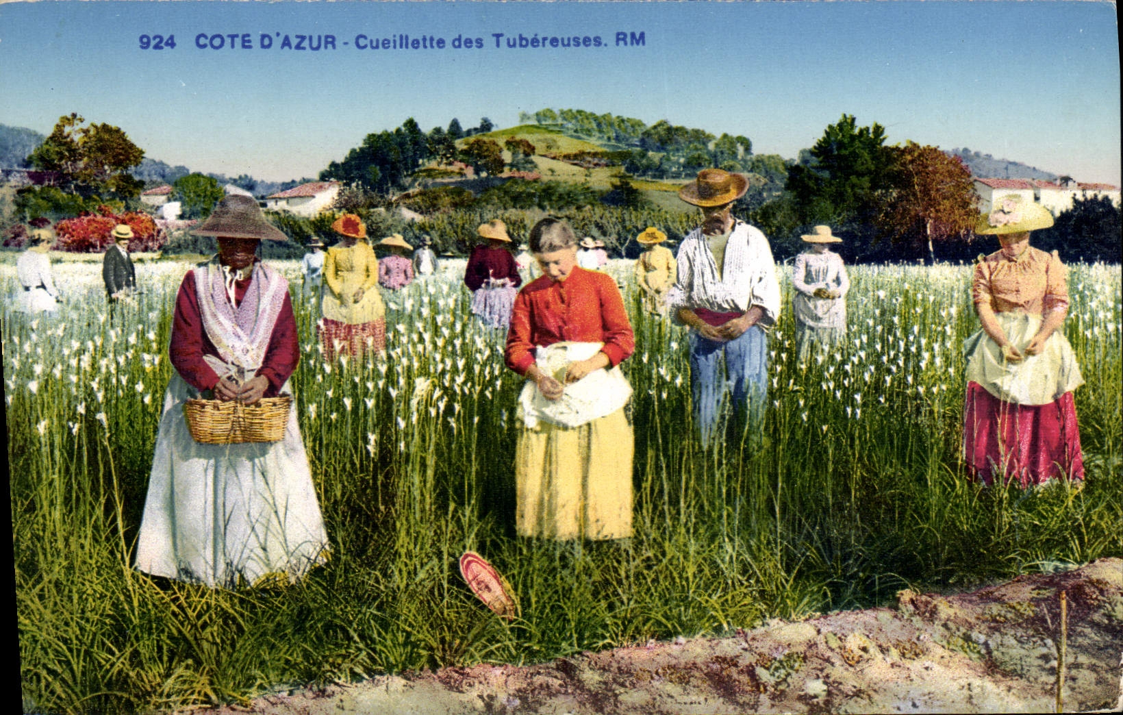 CPA Cueillette des tubereuses Cote d'azur 