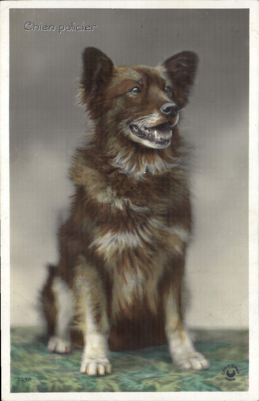 CPA Chien Chiens 