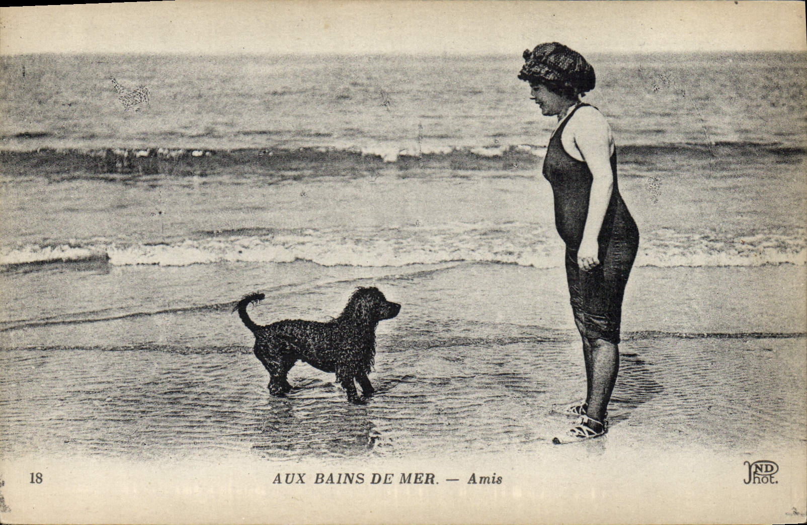 CPA Chien Chiens Aux bains de mer Amis Femme