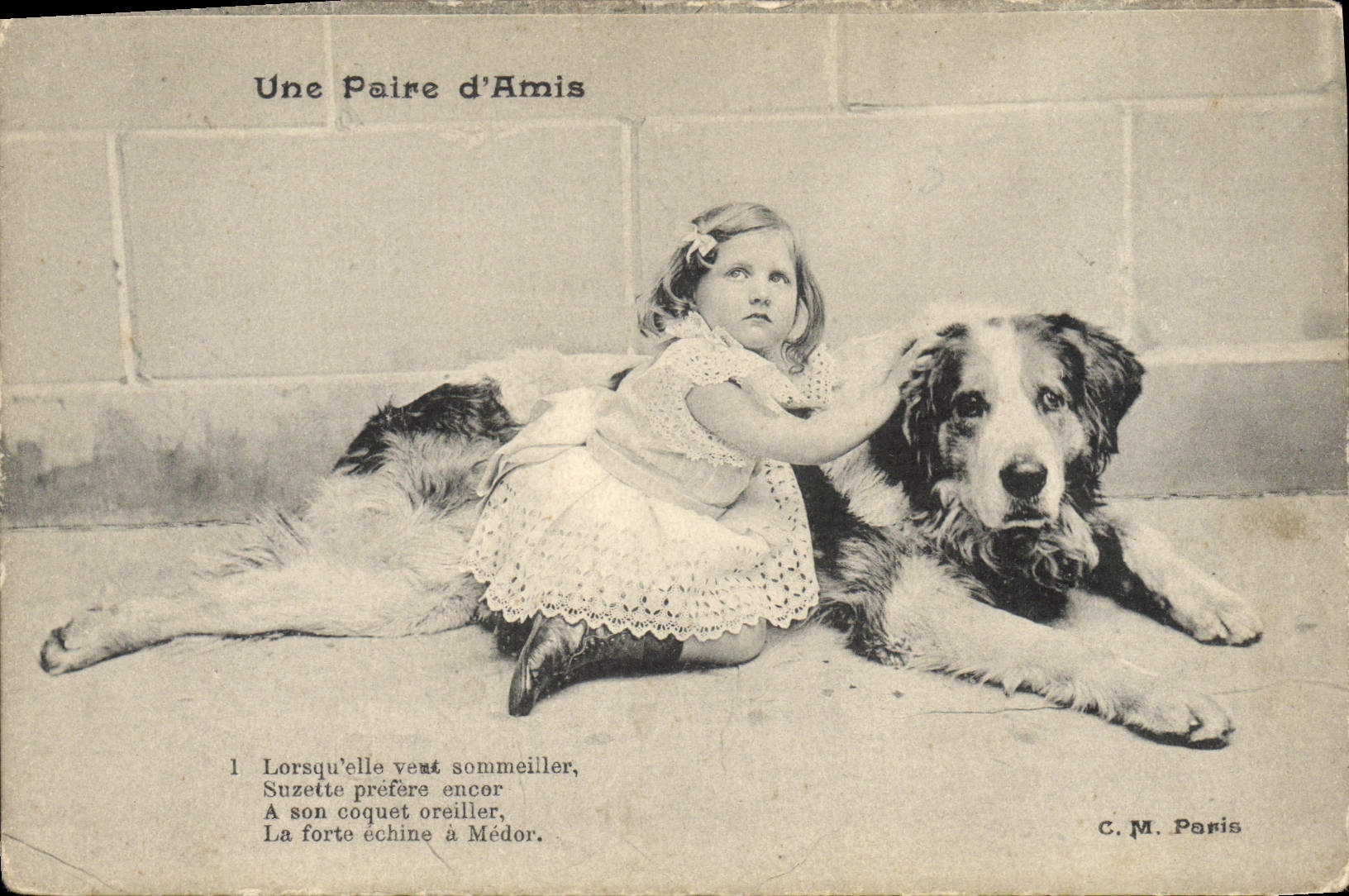 CPA Chien Chiens Enfant 