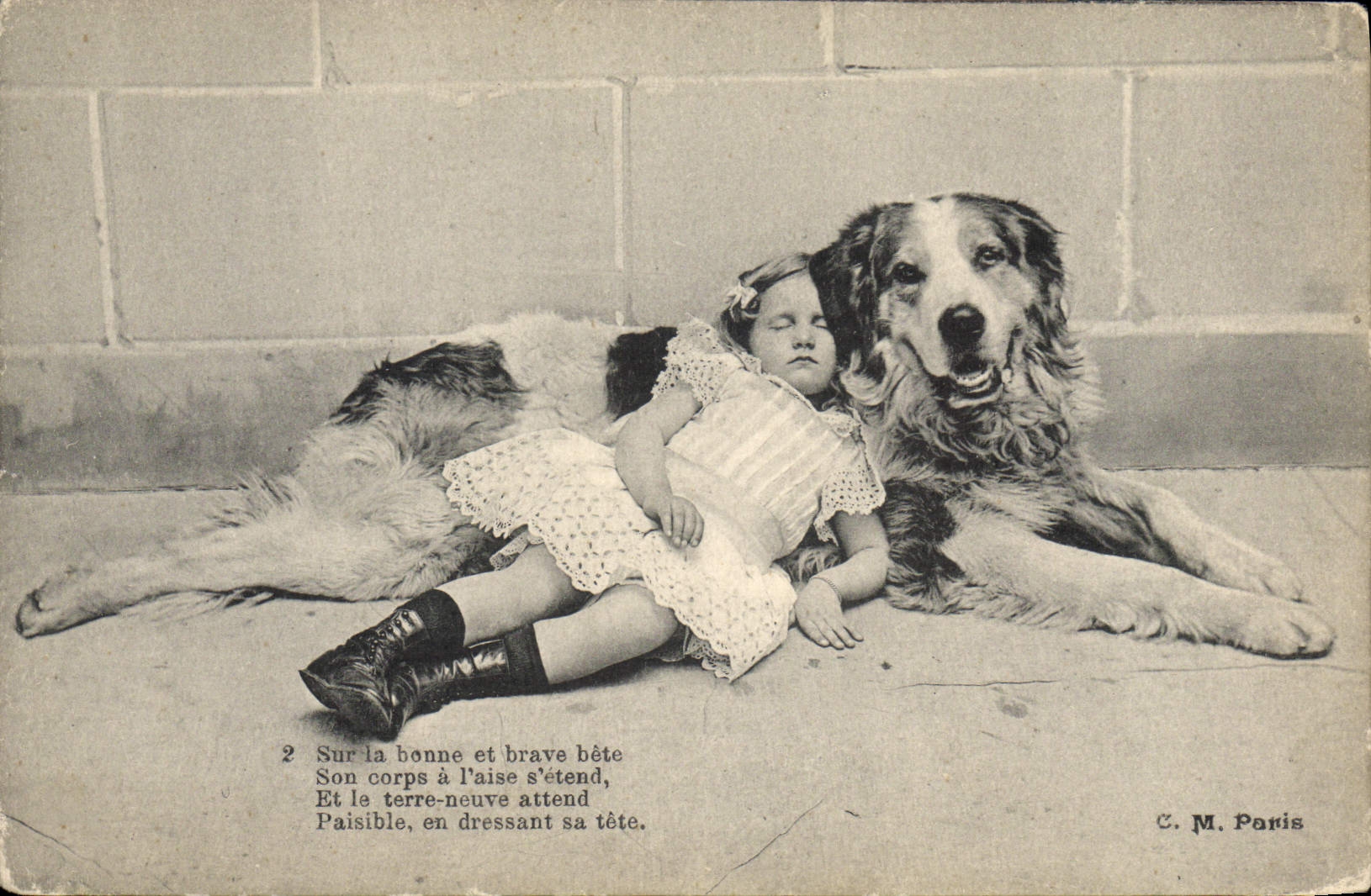 CPA Chien Chiens Enfant 