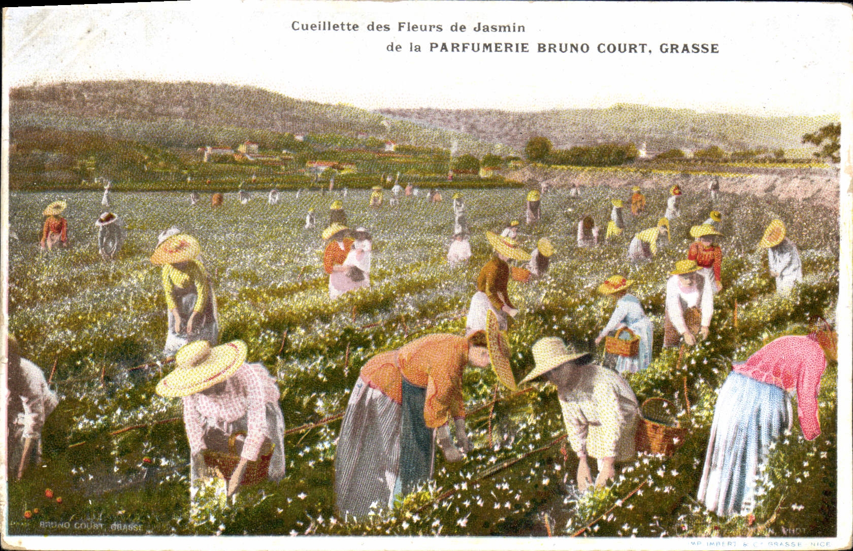 Vintage Postcard Fatty Gathering of the flowers of Jasmine Parfumeroie Bruno Court