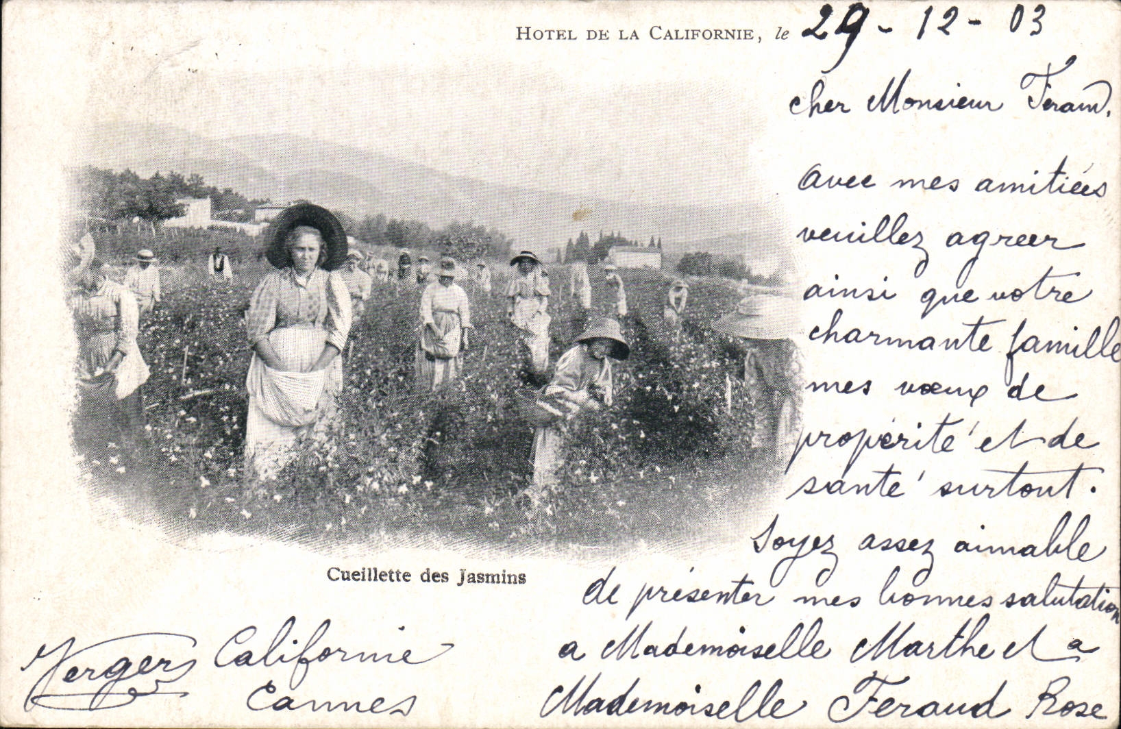 CPA Cueillette des jasmins Hotel de la Californie 