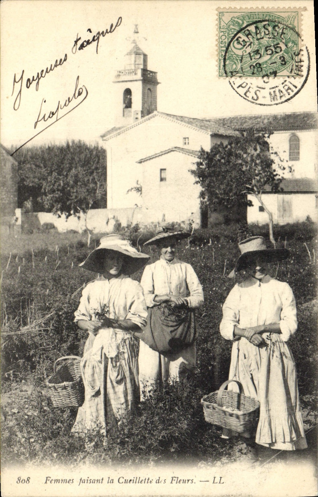 Vintage Postcard Women faisaint the Gathering of the flowers