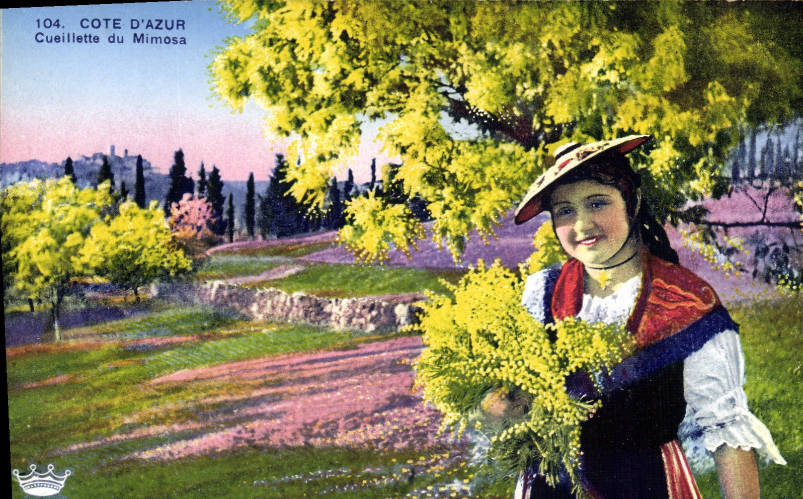 Vintage Postcard Dimensions Azure Gathering of the mimosa