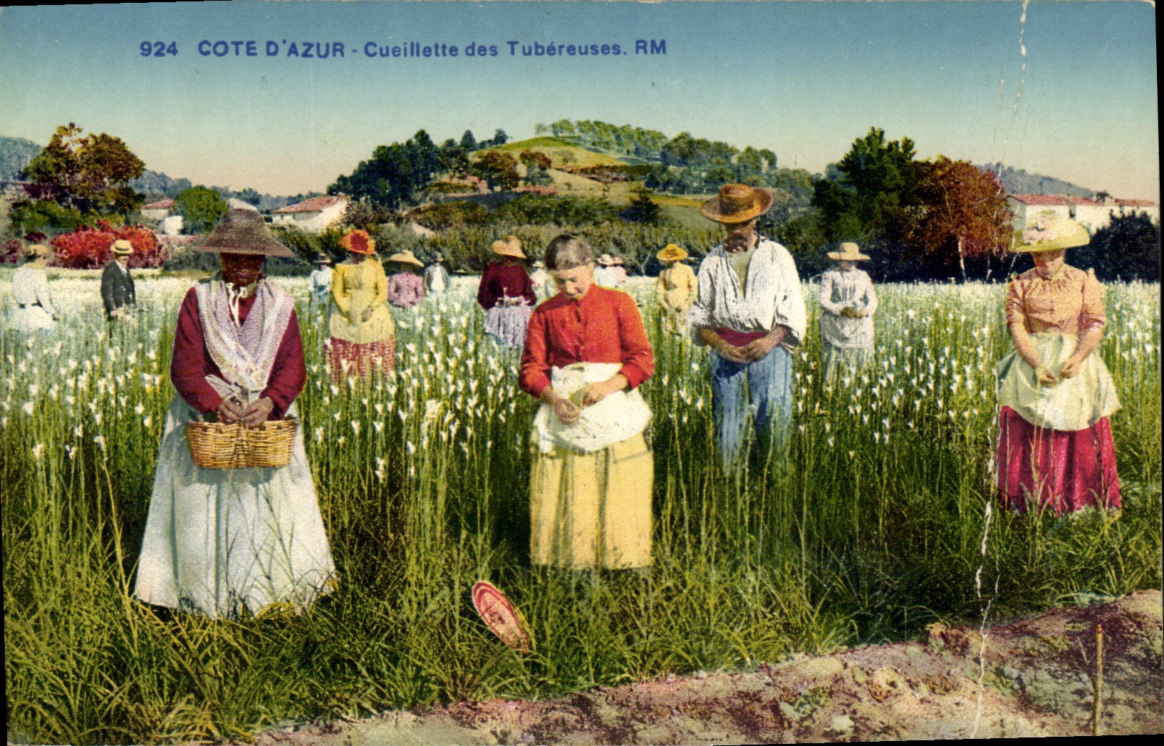 Vintage Postcard Dimensions Azure Gathering of the Tuberoses