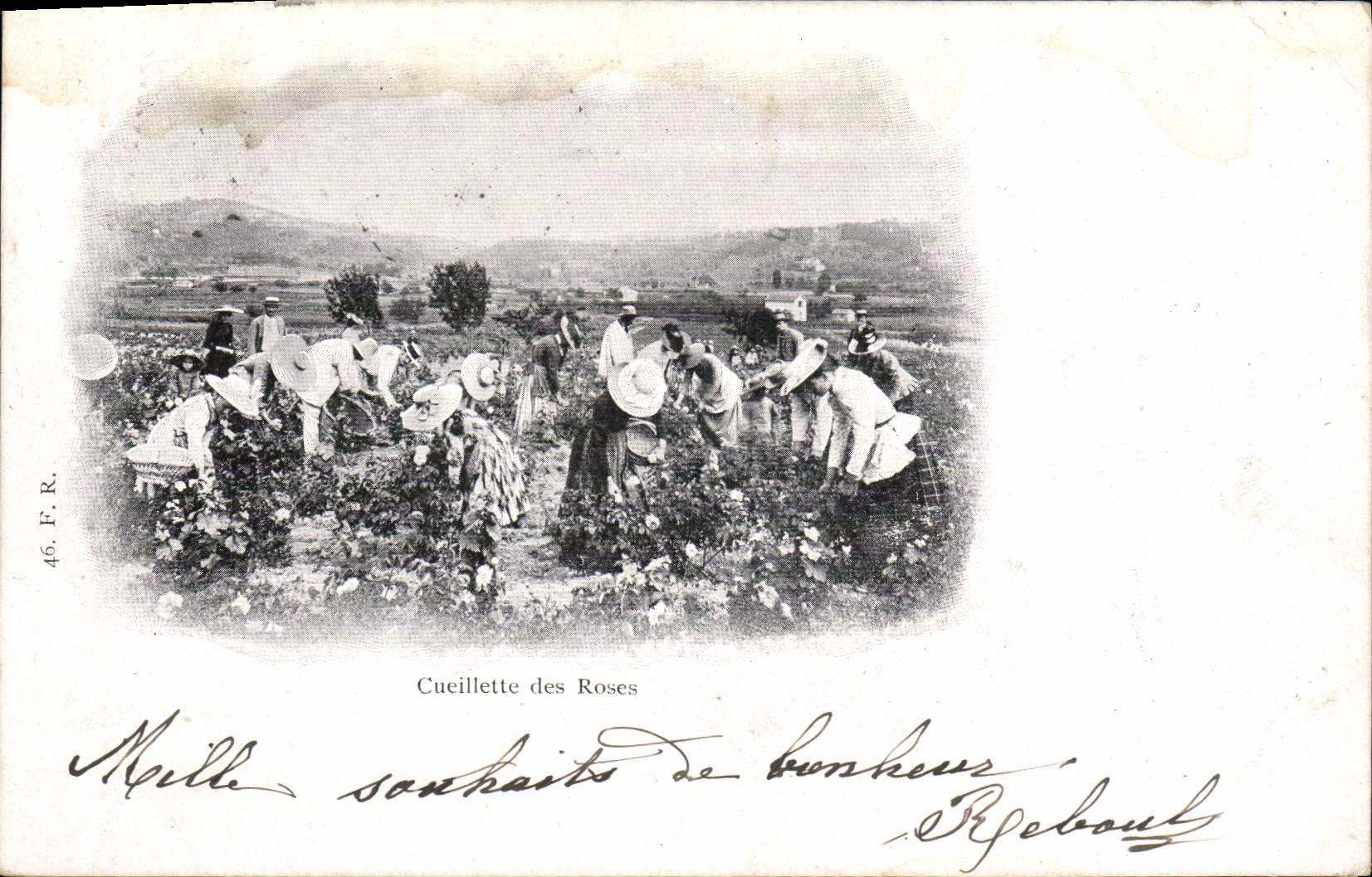 CPA Cueillette des roses 