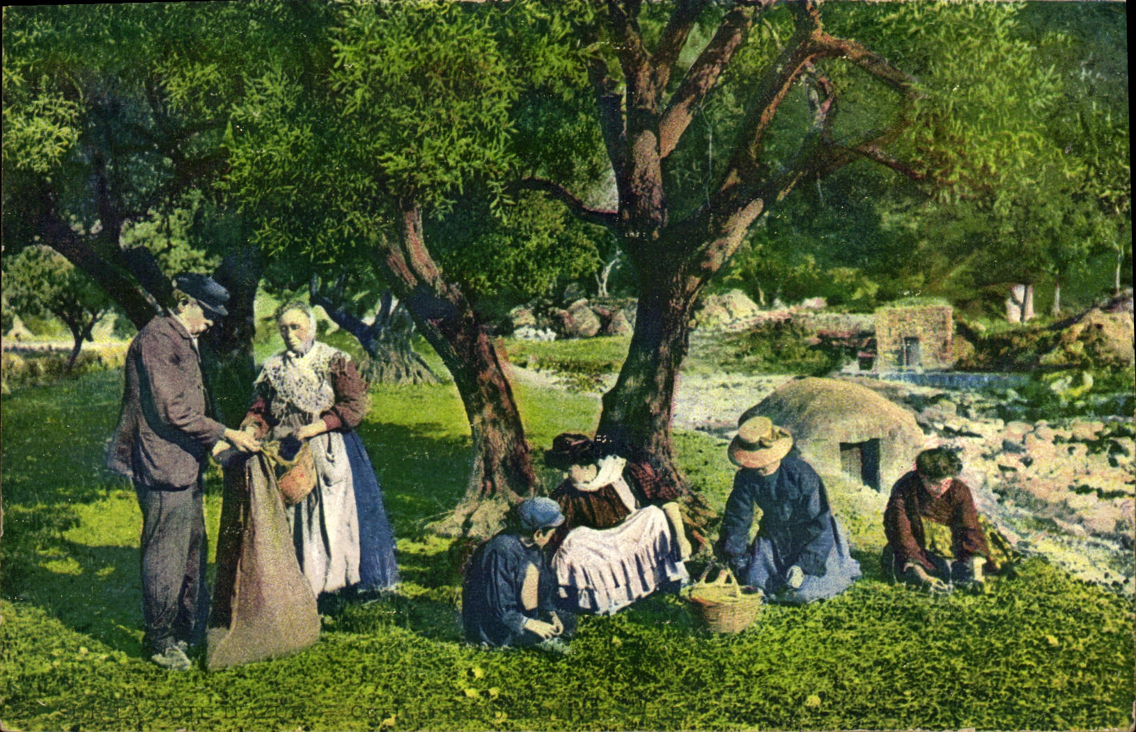 Vintage Postcard Gathering