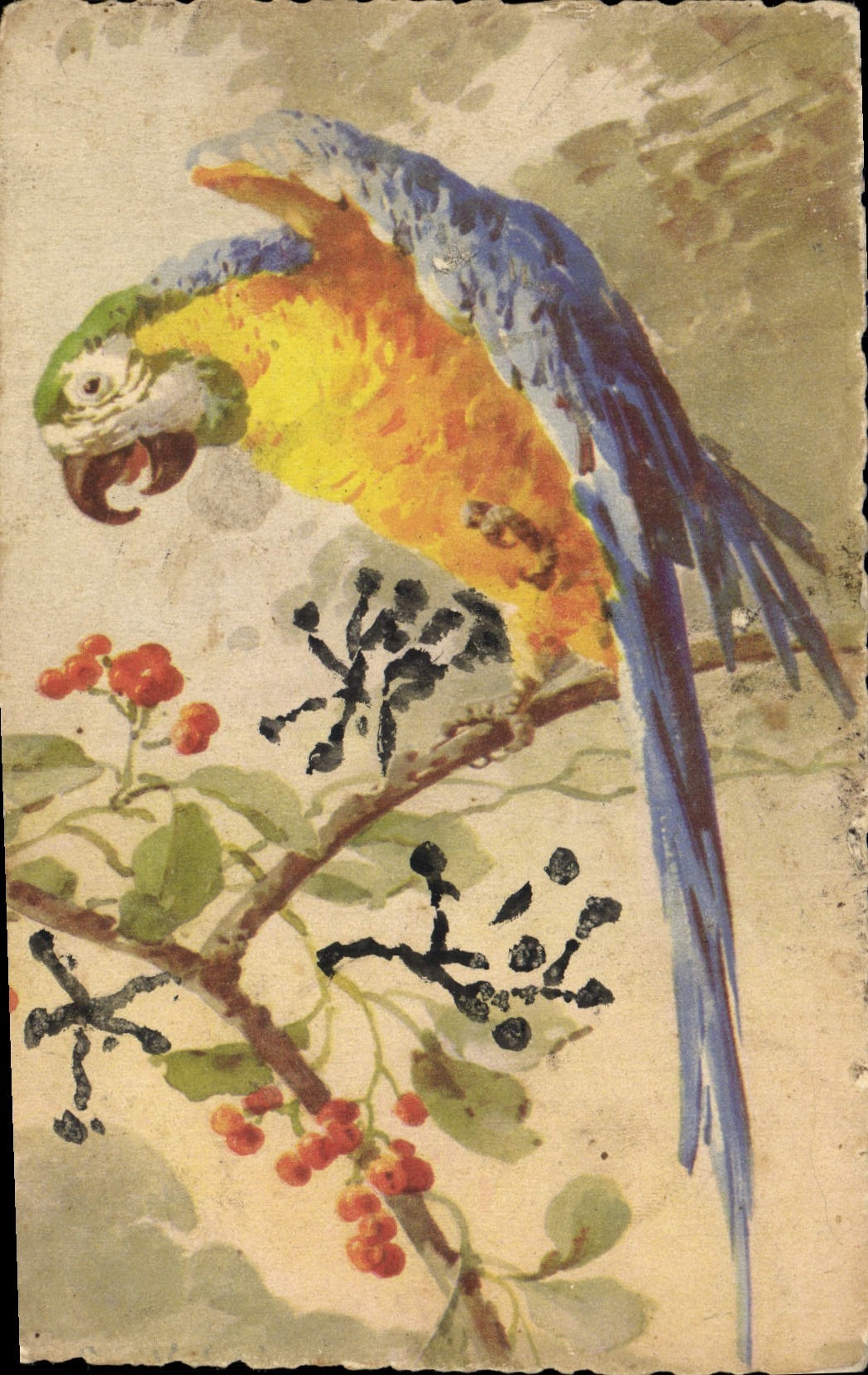 Vintage Postcard Fantasy Flowers Parrot