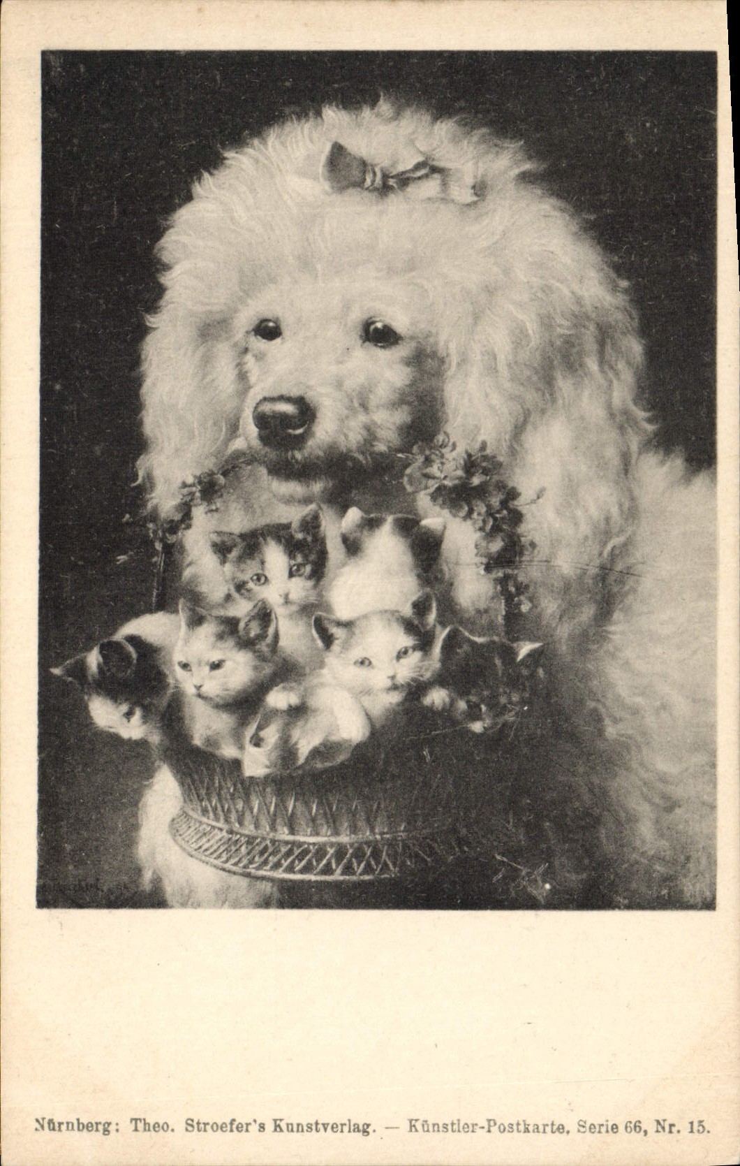 Vintage Postcard Dog Dogs Poodle Cat Cats Kitten