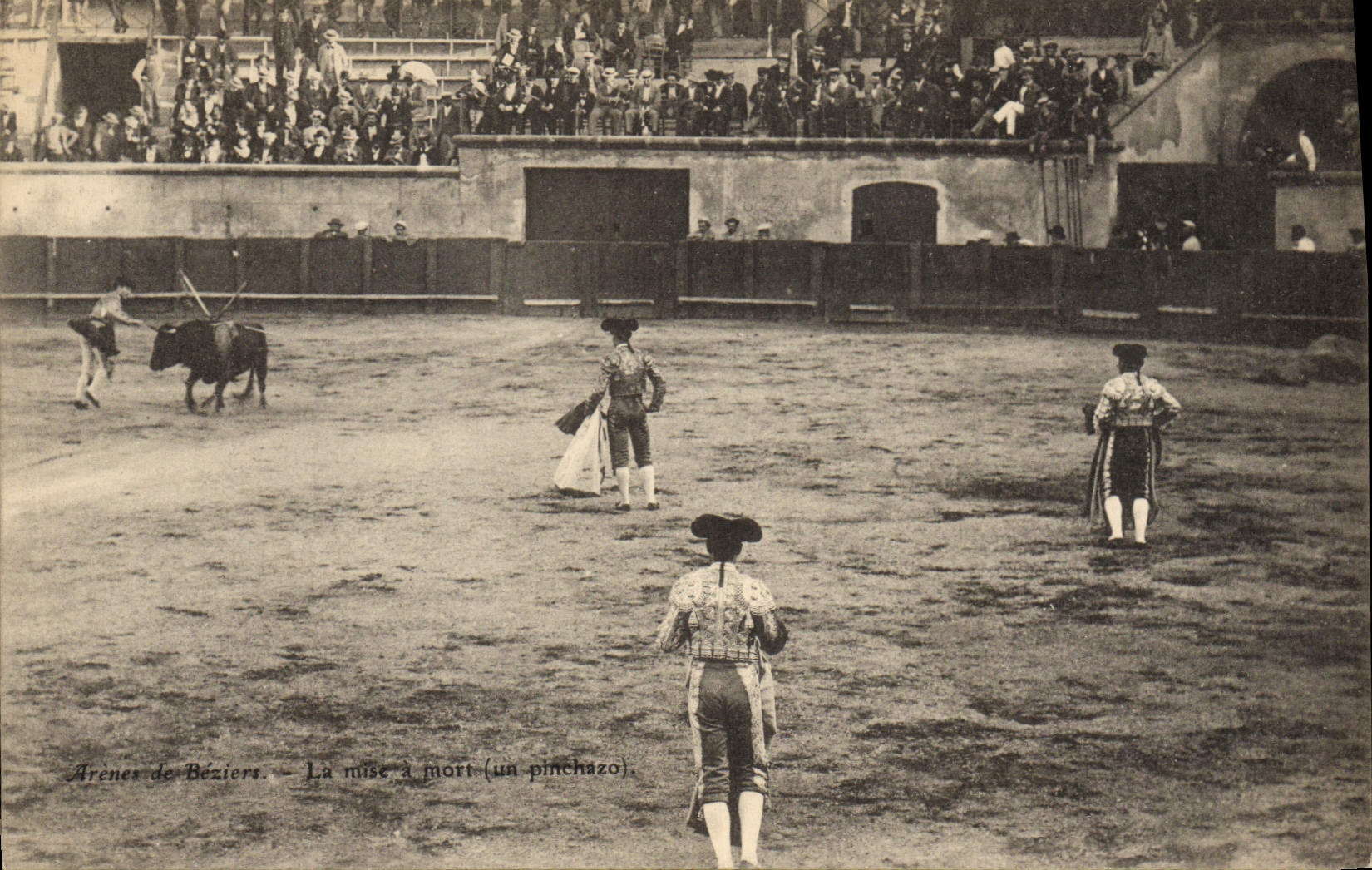Postal Corrida Toro Arenas de Beziers la puesta se murió