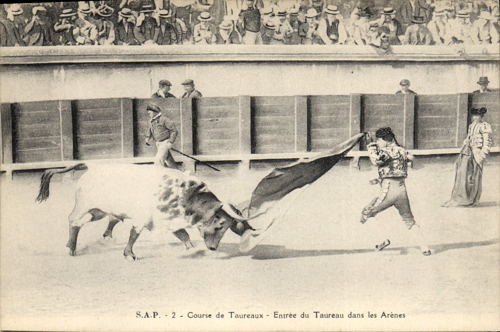 Postal Corrida Toro Curso de toros Entrado del toro en las arenas