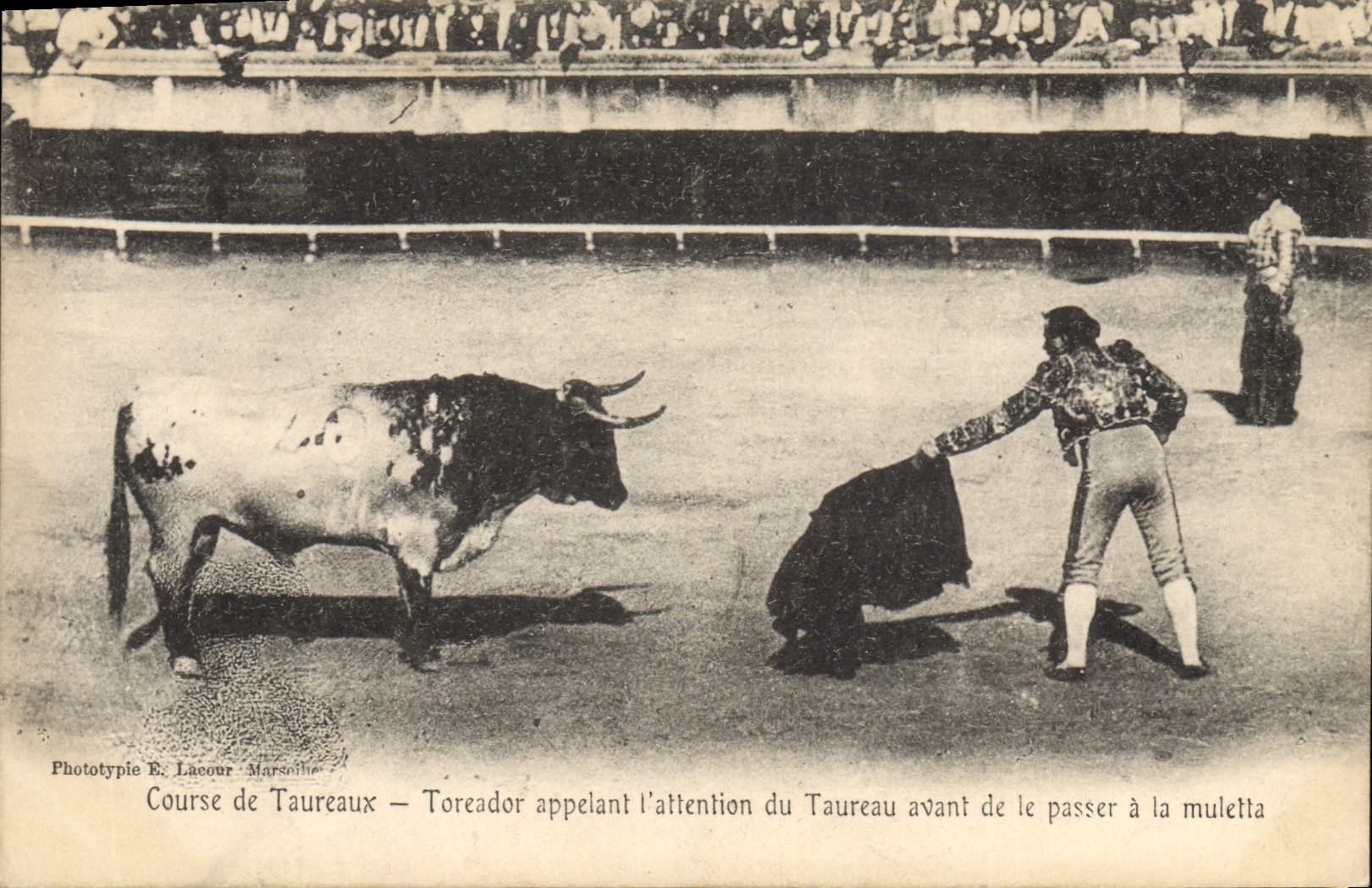 CPA Corrida Taureau Course de taureaux Toreador appelant l'attention du taureau avant de le passer a la muletta
