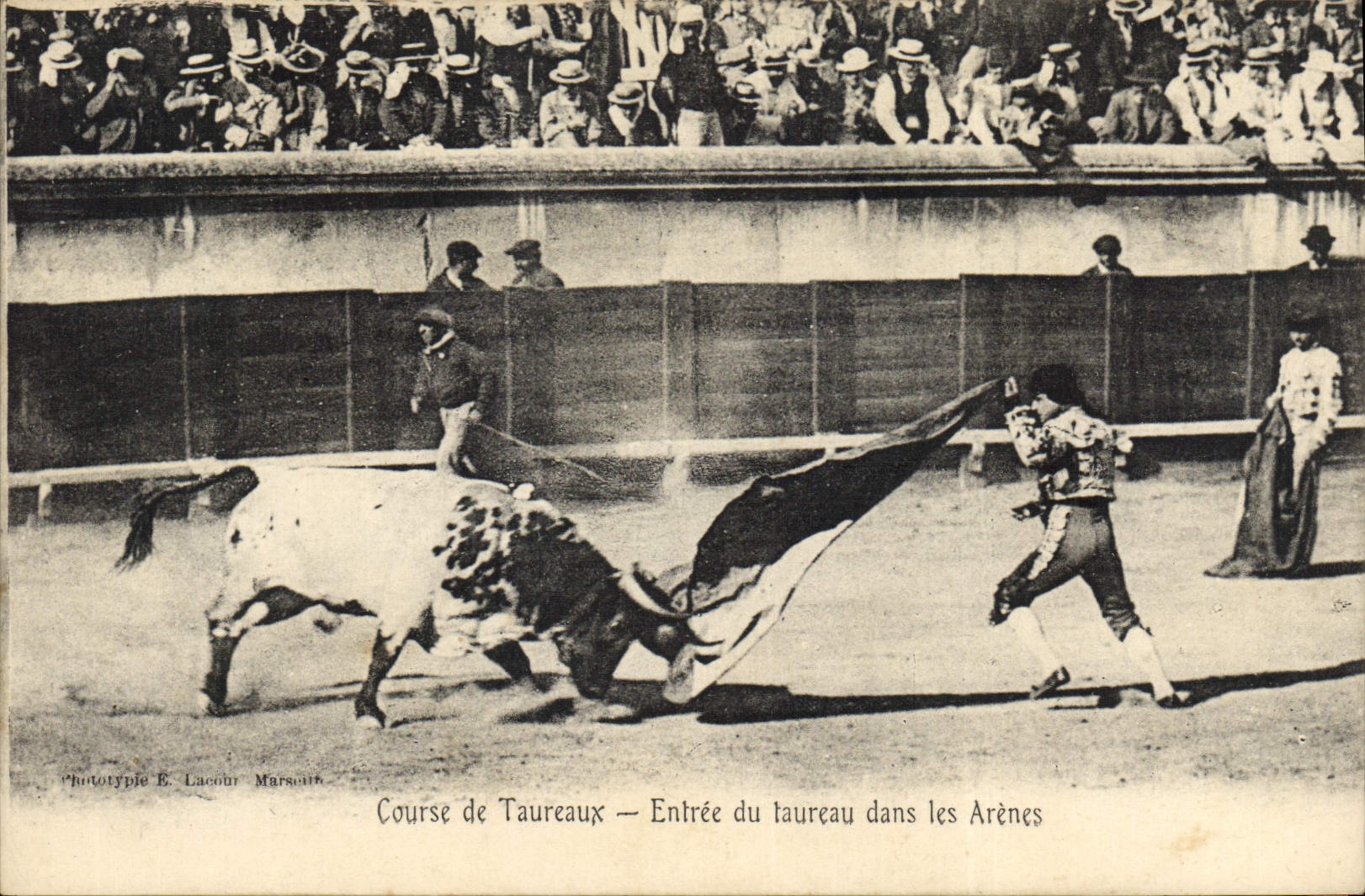 CPA Corrida Taureau Course de taureaux Entree du taureau dans les arenes