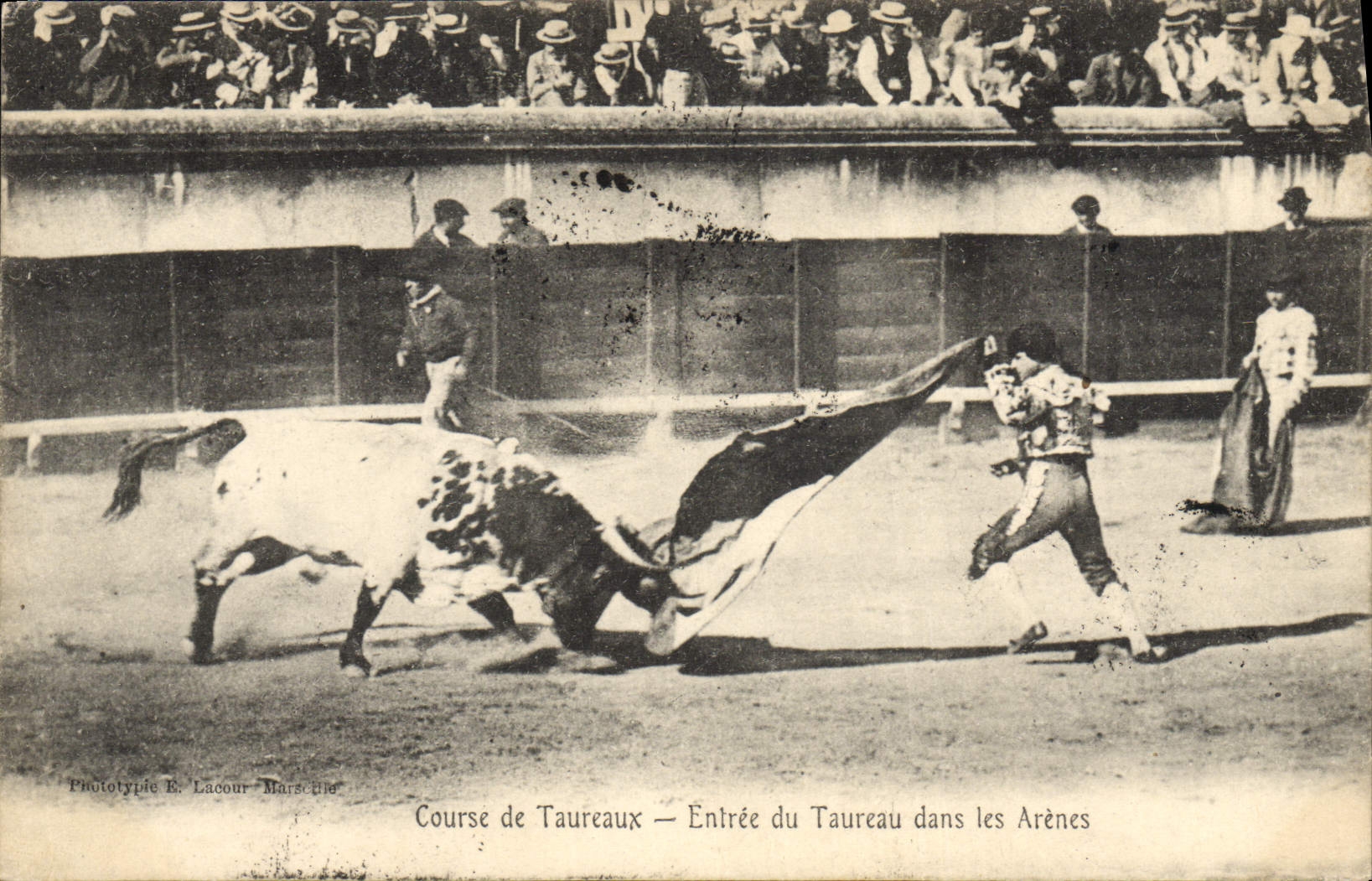 CPA Corrida Taureau Course de taureaux Entree du taureau dans les arenes