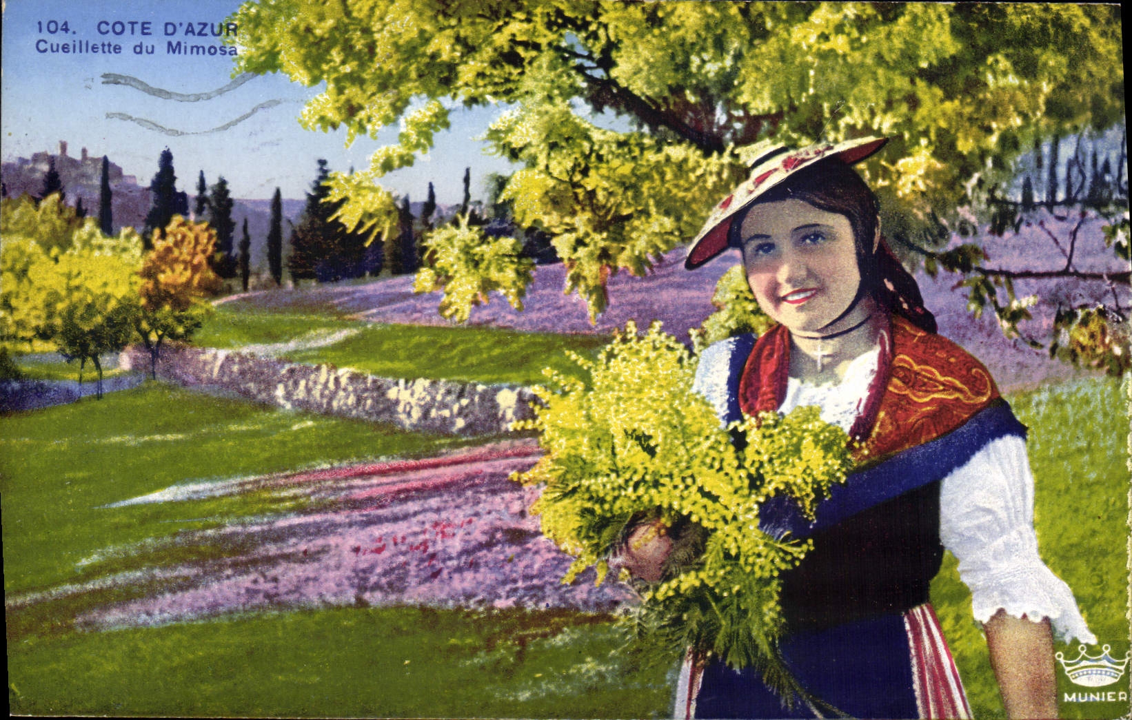 Vintage Postcard Cueillette of the Mimosa Dimensions Azure