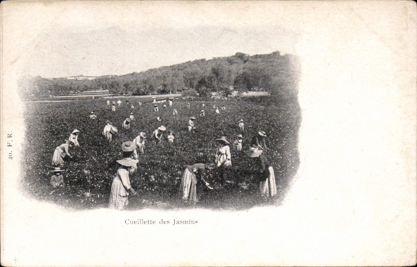 CPA Cueillette des jasmins 