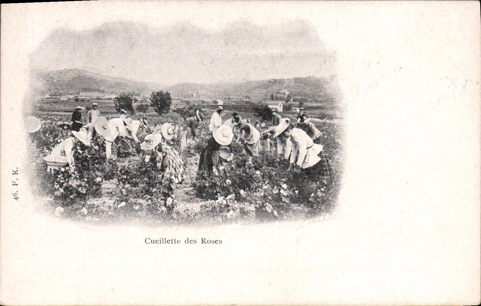 CPA Cueillette des roses 