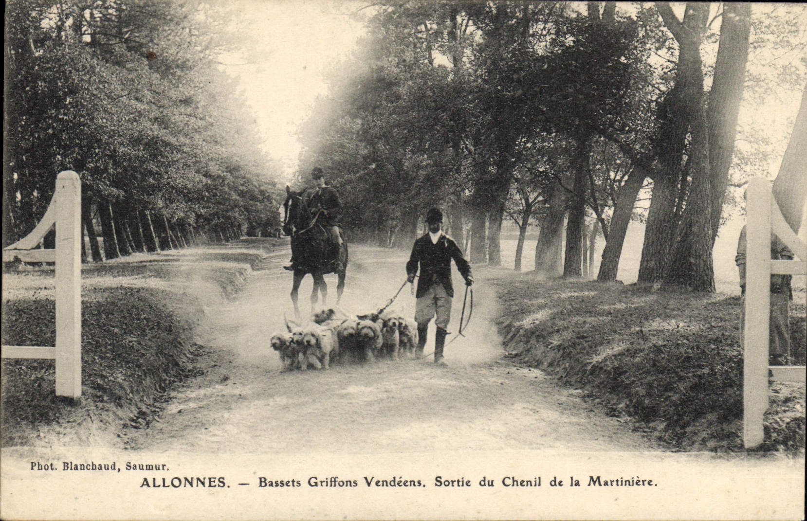 CPA Chasse Chien Chiens Allonnes Bassets Griffons Vendeens Sortie du chenil de la Martiniere Chasse a courre TOP