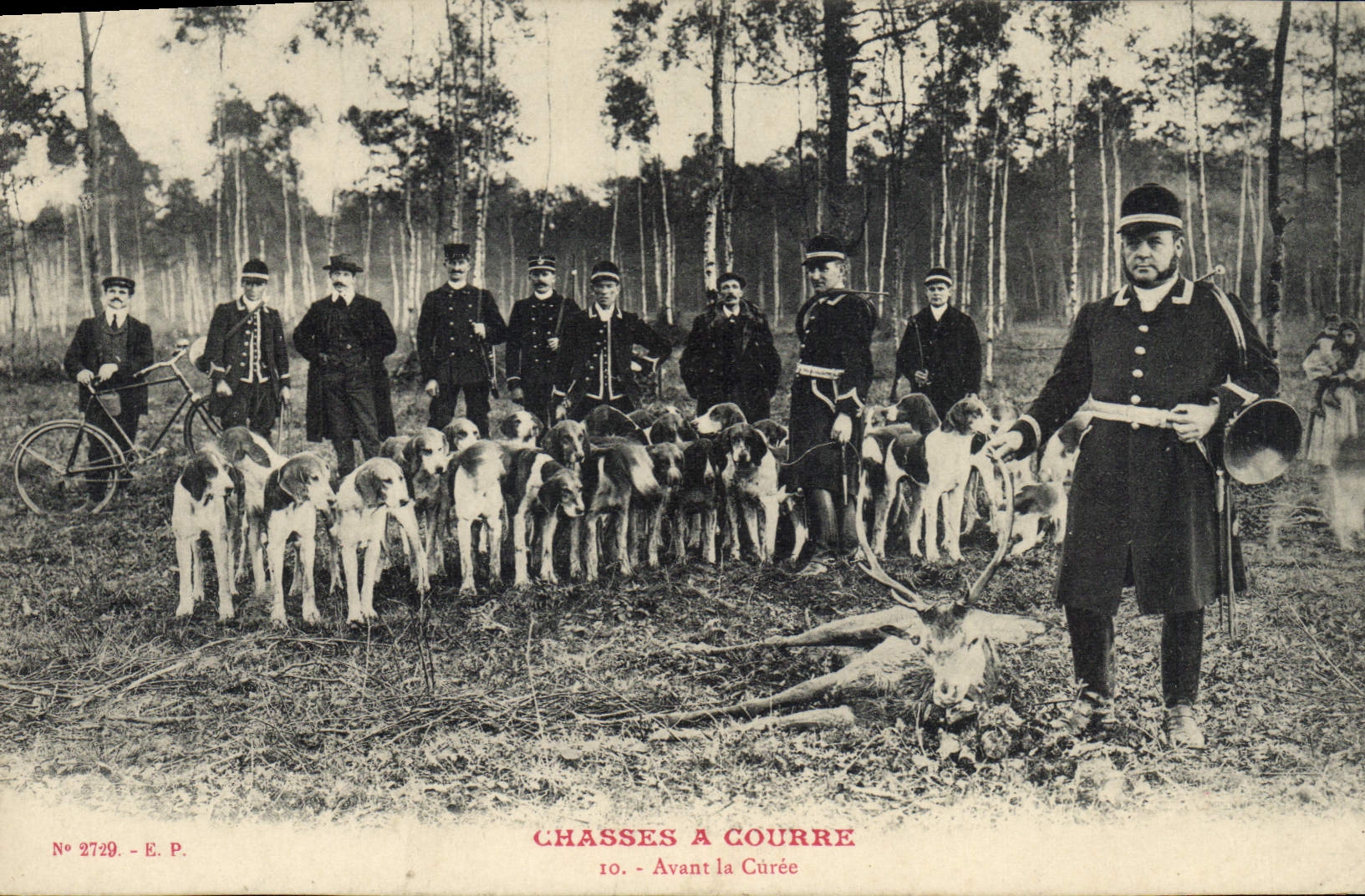 Postal Caza Perro Perros Cazas perseguir antes el limpió a CUMBRE