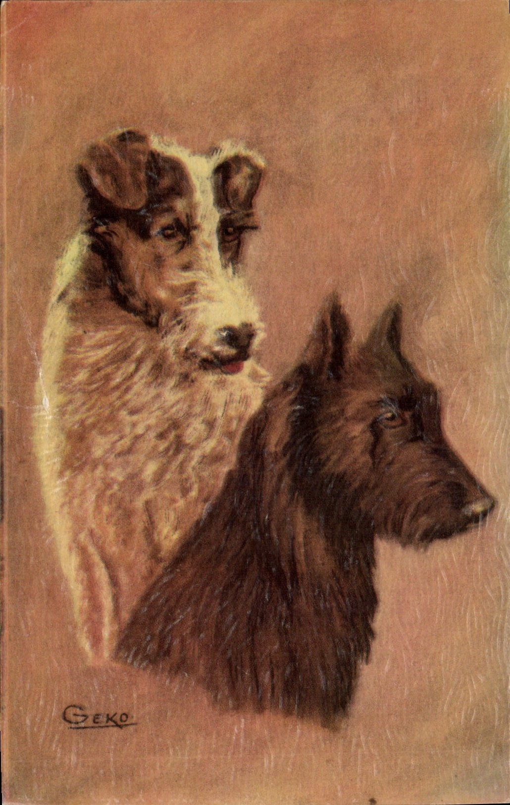 CPA Chiens Chien 