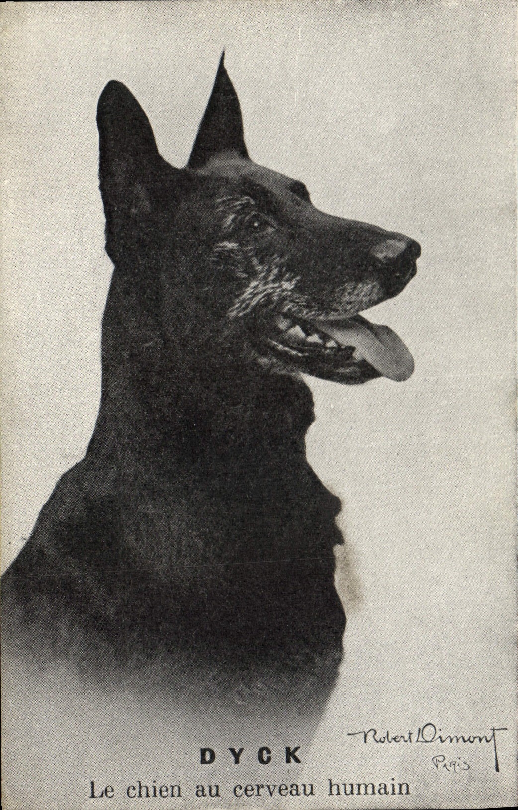 CPA Chiens Chien Dyck Le chien au cerveau humain 