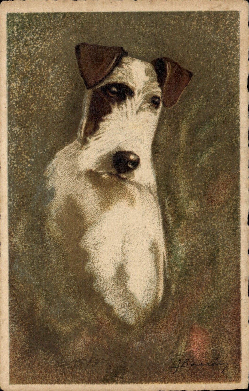 Vintage Postcard Dogs Dog Fox terrier Terrier