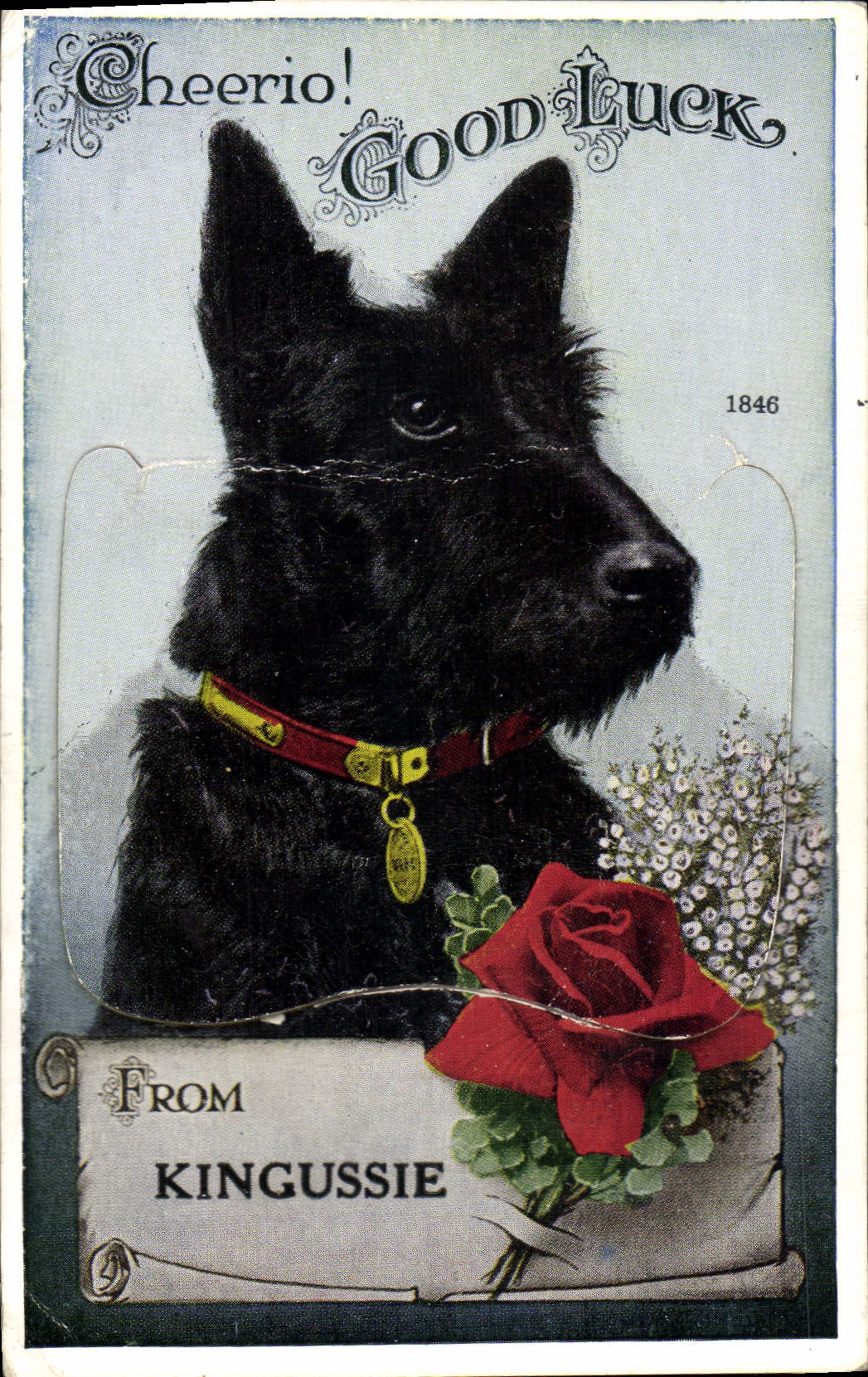 CARTE SYSTEME Chiens Chien Kingussie