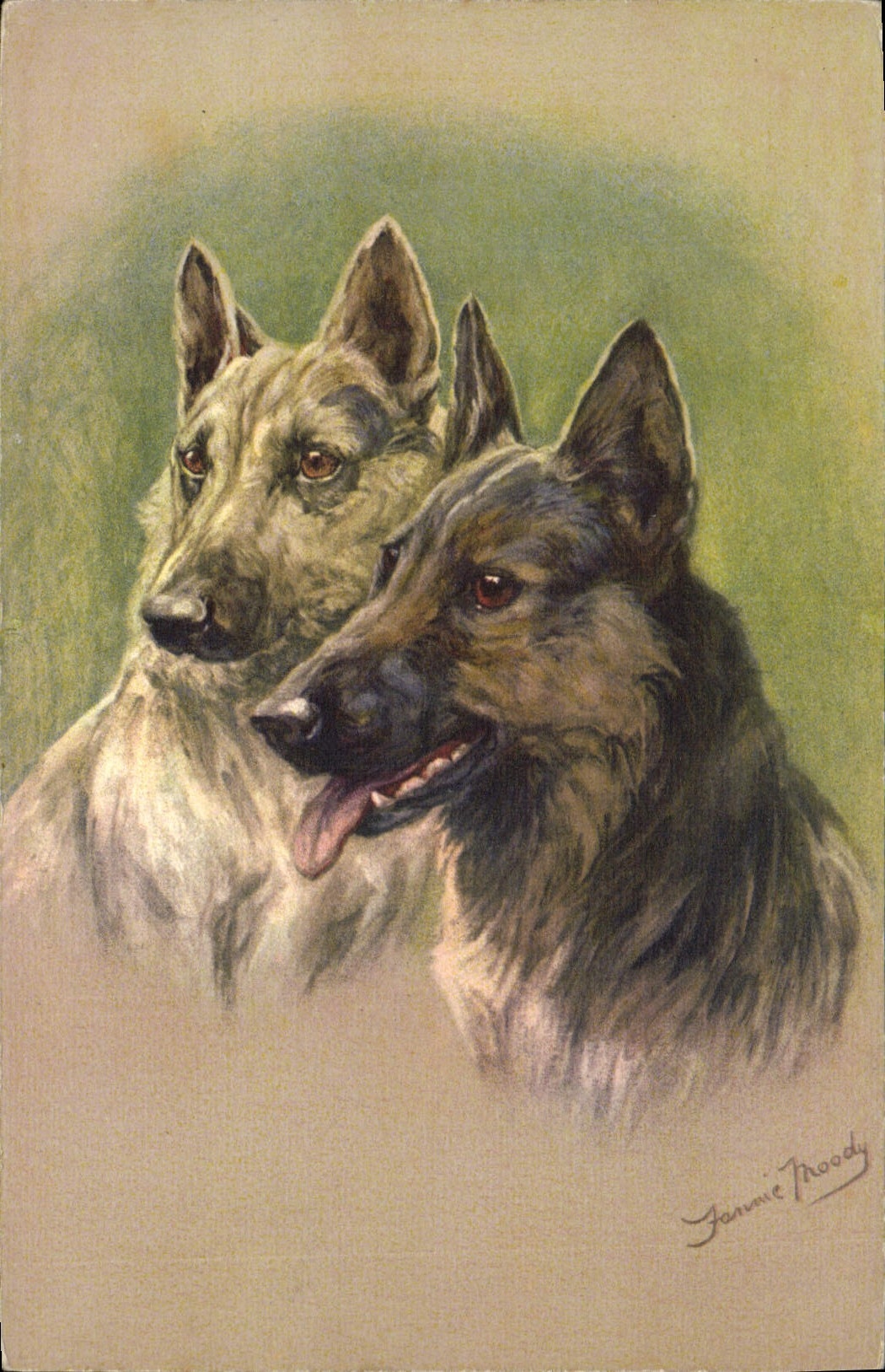 Vintage Postcard Dogs Dog Shepherds