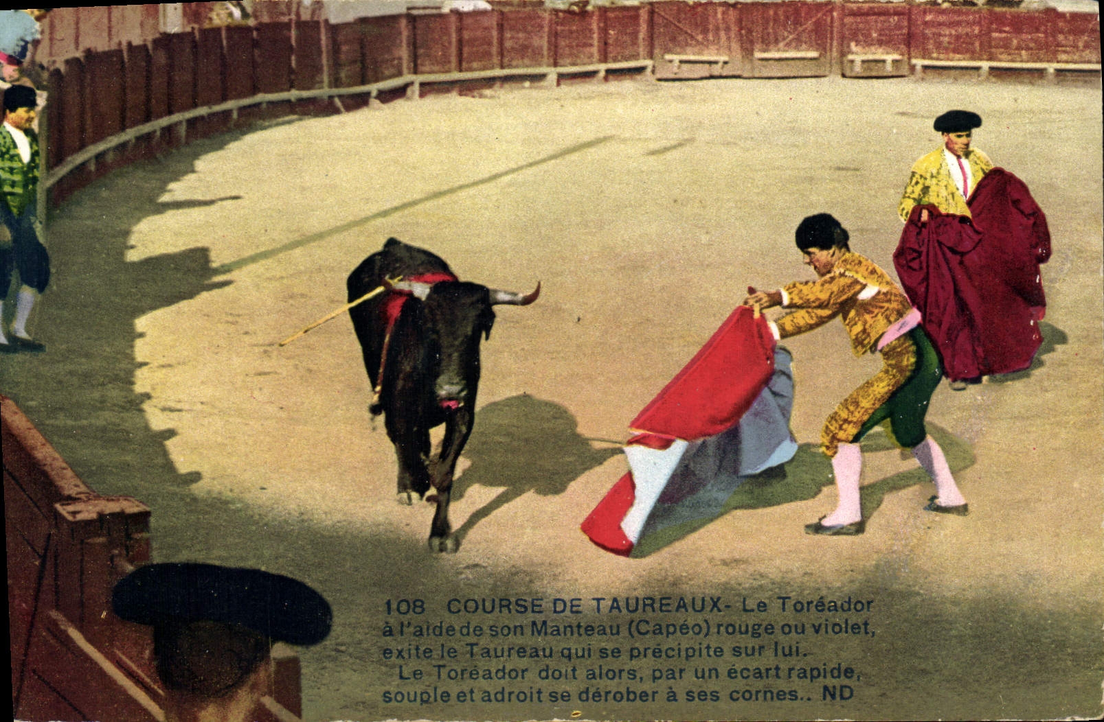 CPA Corrida Course de taureaux 