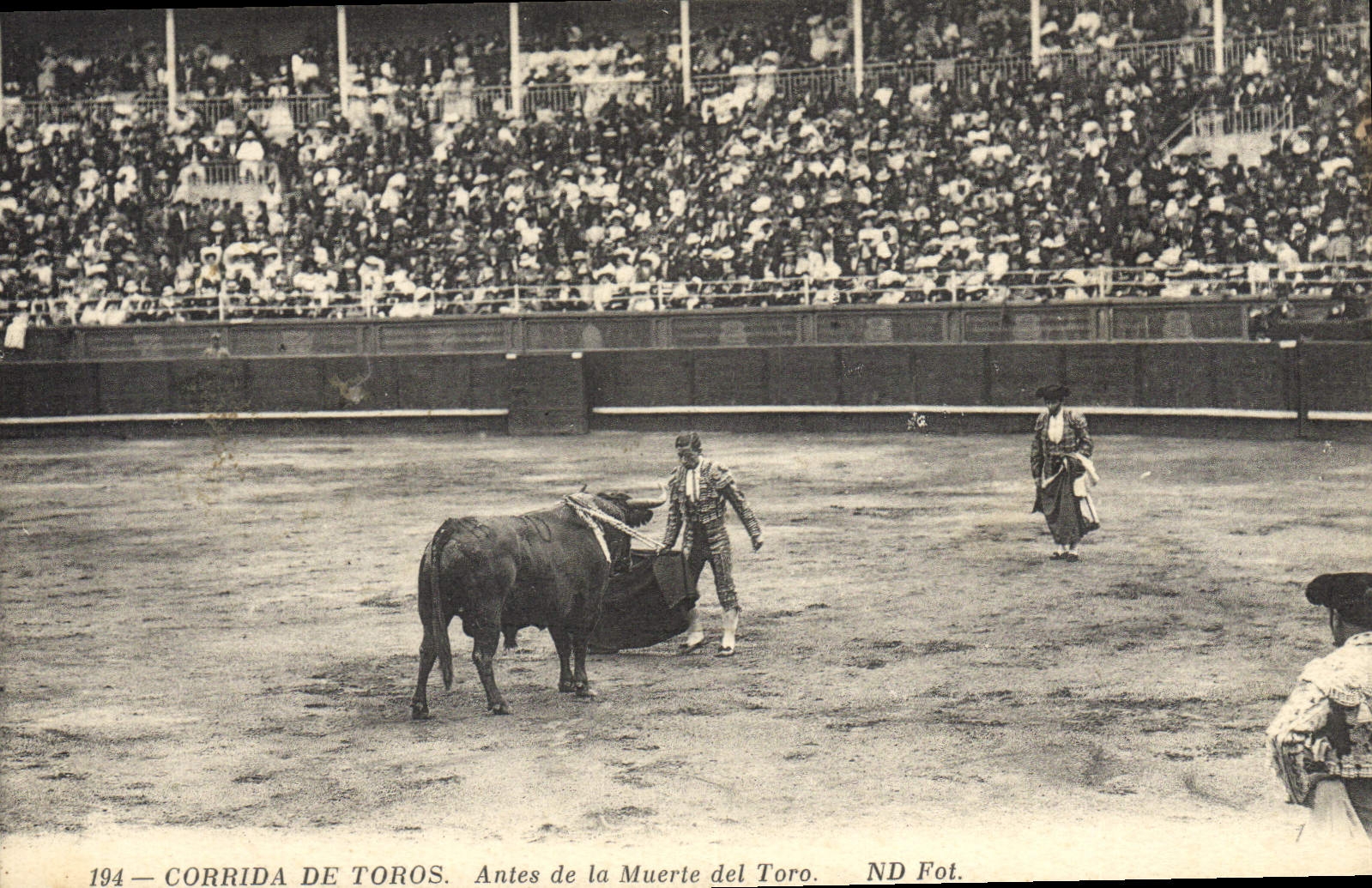 Vintage Postcard Bullfight Bullfight Handles of muerte LED toro