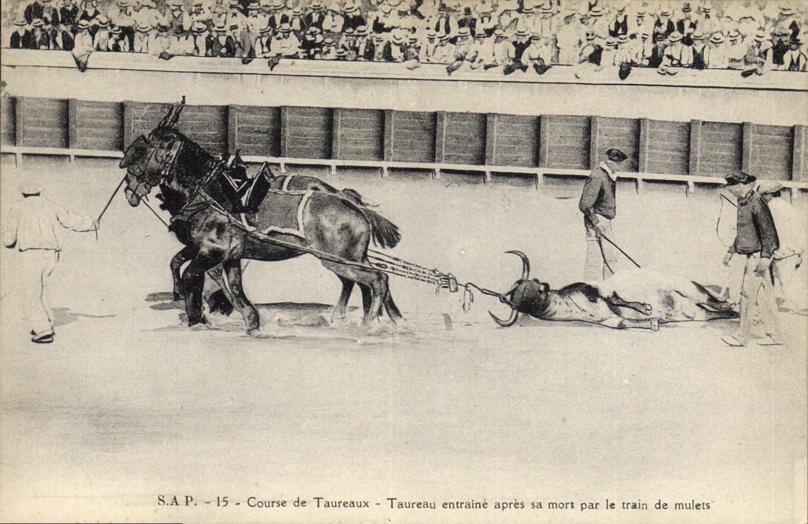 CPA Corrida Course de taureaux Taureau entraine apres sa mort par le train de mulets 