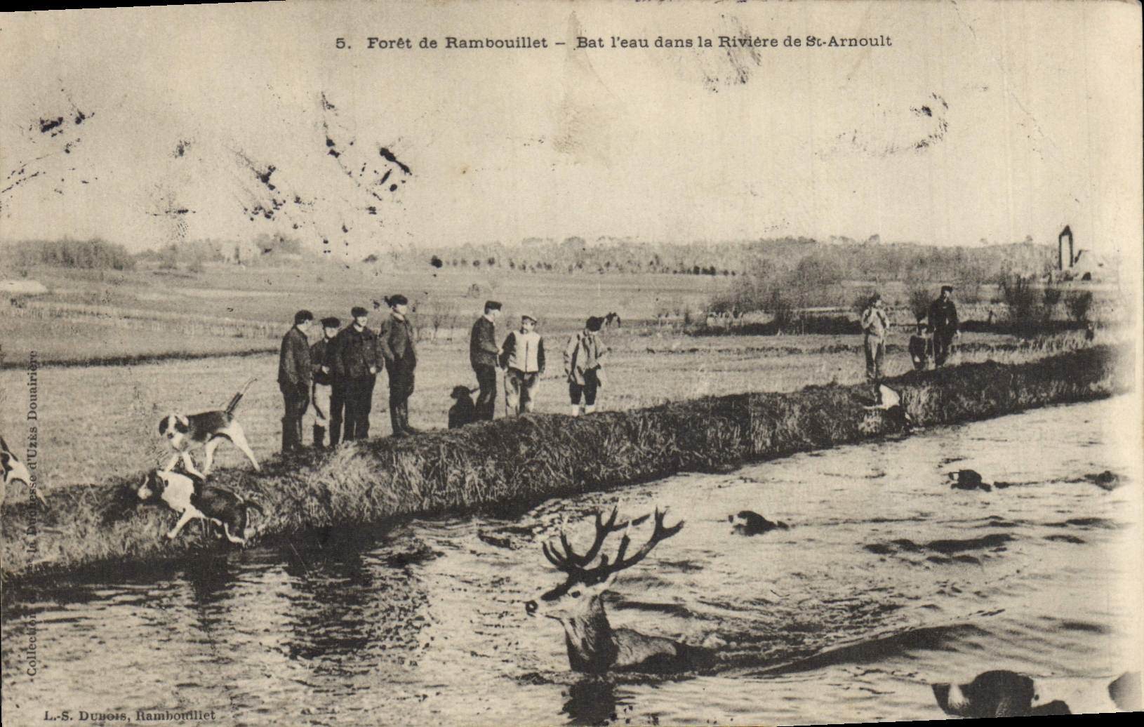 Postal Caza que debe perseguirse Taladro de Rambouillet pega el agua en el río de St Arnoult Perro Perros