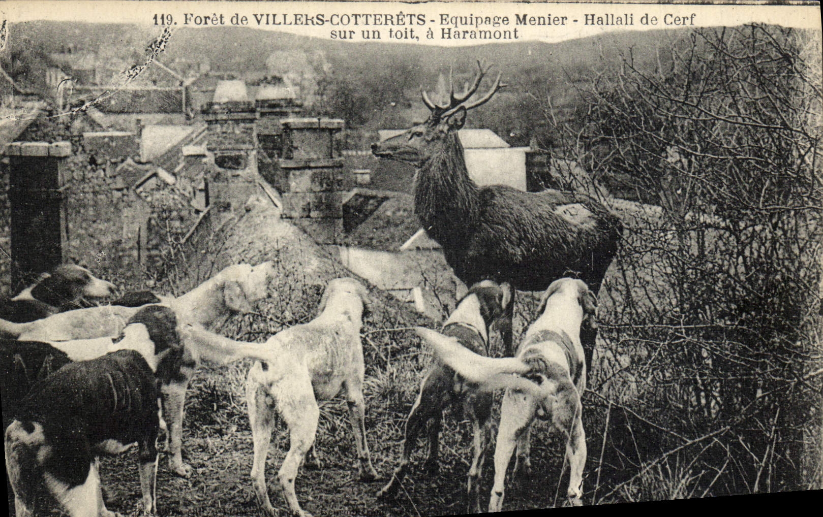 CPA Chasse a courre Foret de Villers Cotterets Equipage Menier Hallali de cerf sur un toit a Haramont Chien Chiens 