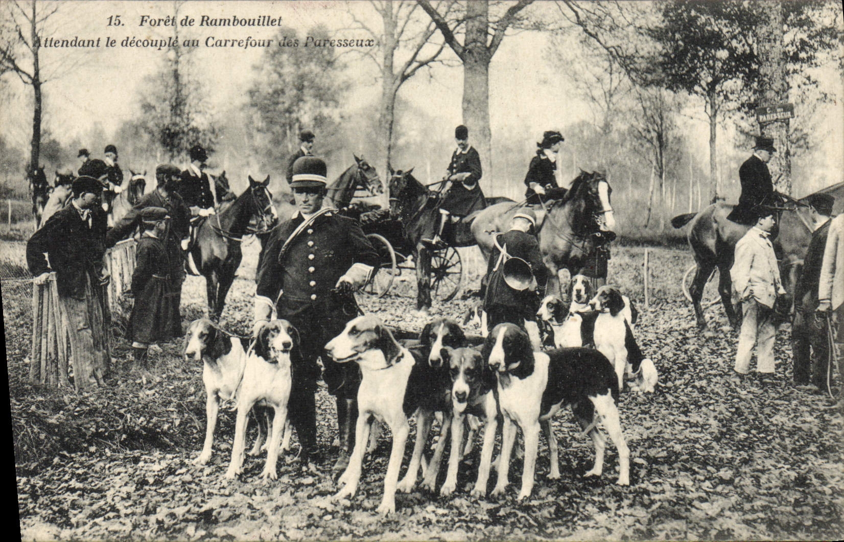 Vintage Postcard Chasse has courre Waiting Foret of Rambouillet uncouples it with the crossroads from the Lazy Dog Dogs SIGNAL