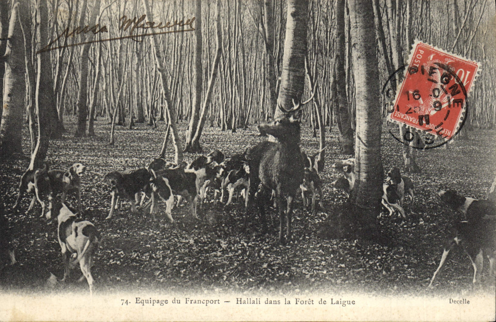 Vintage Postcard Chasse has courre Equipage of Francport Hallali in the drill of Laigne