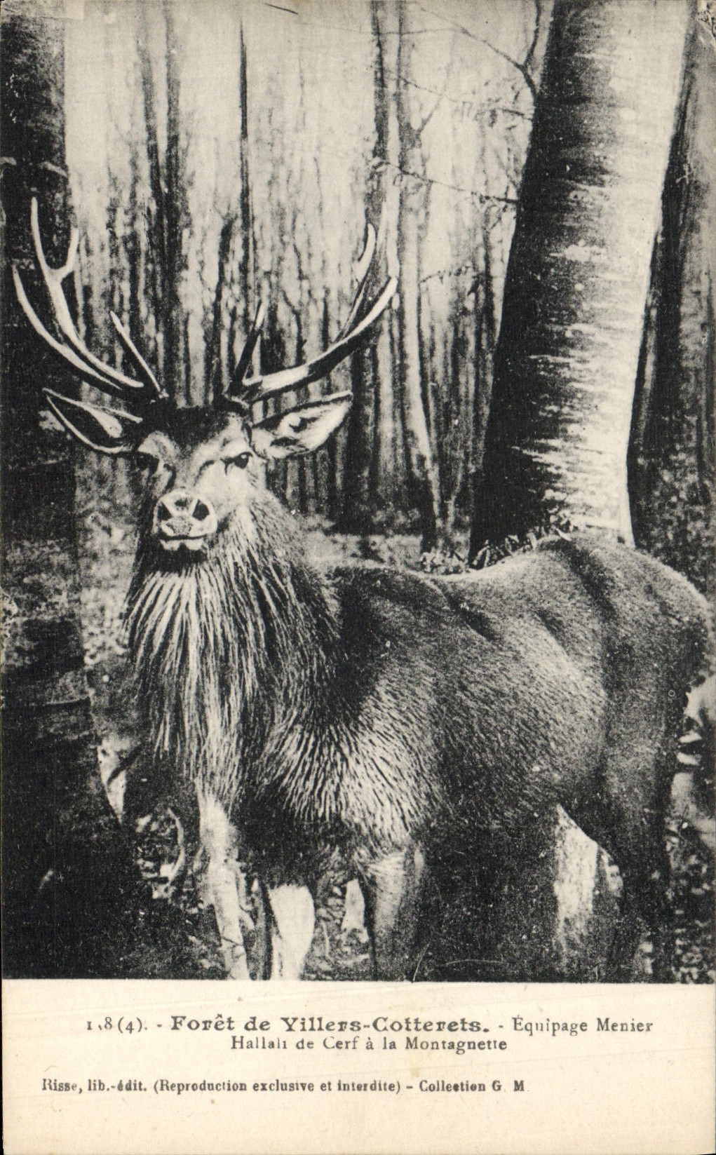 CPA Chasse a courre Foret de Villers Cotterets Equipage Menier Hallali de cerf a la Montagnette