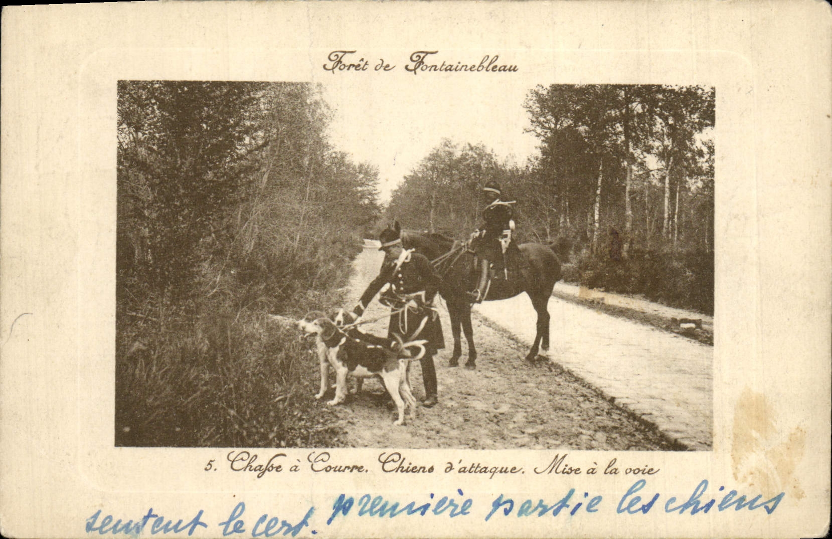 Vintage Postcard Chasse has courre Foret of Fontainebleau Chiens of Mise attack has the way Chien Dogs