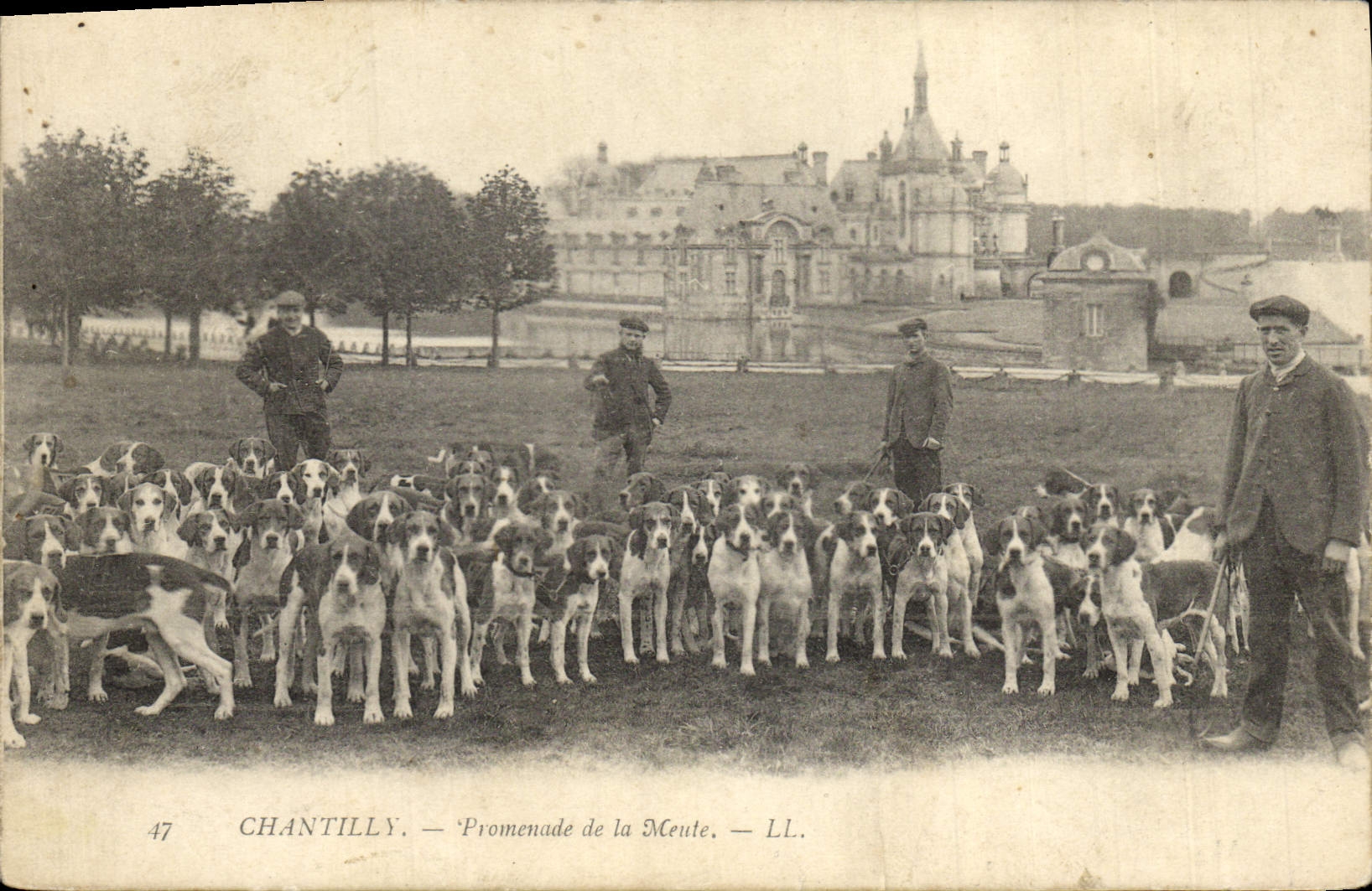 CPA Chasse a courre Chantilly Promenade de la meute Chien Chiens