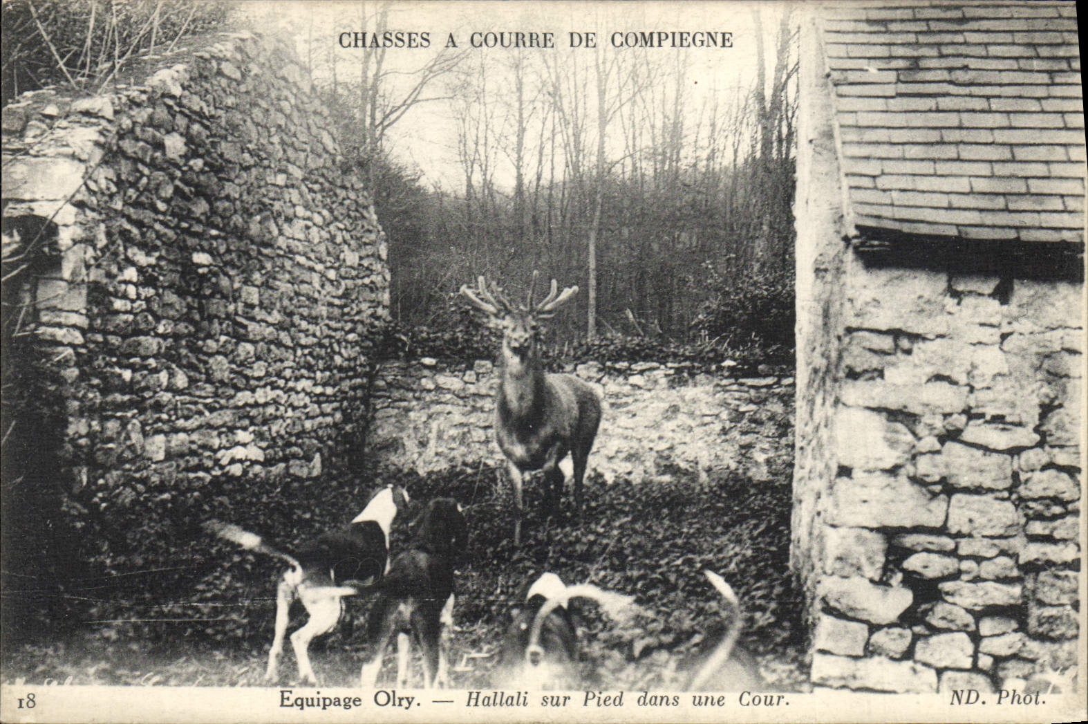 CPA Chasse a courre de Compiegne Equipage Olry Hallali sur pied dans une cour Chien Chiens 