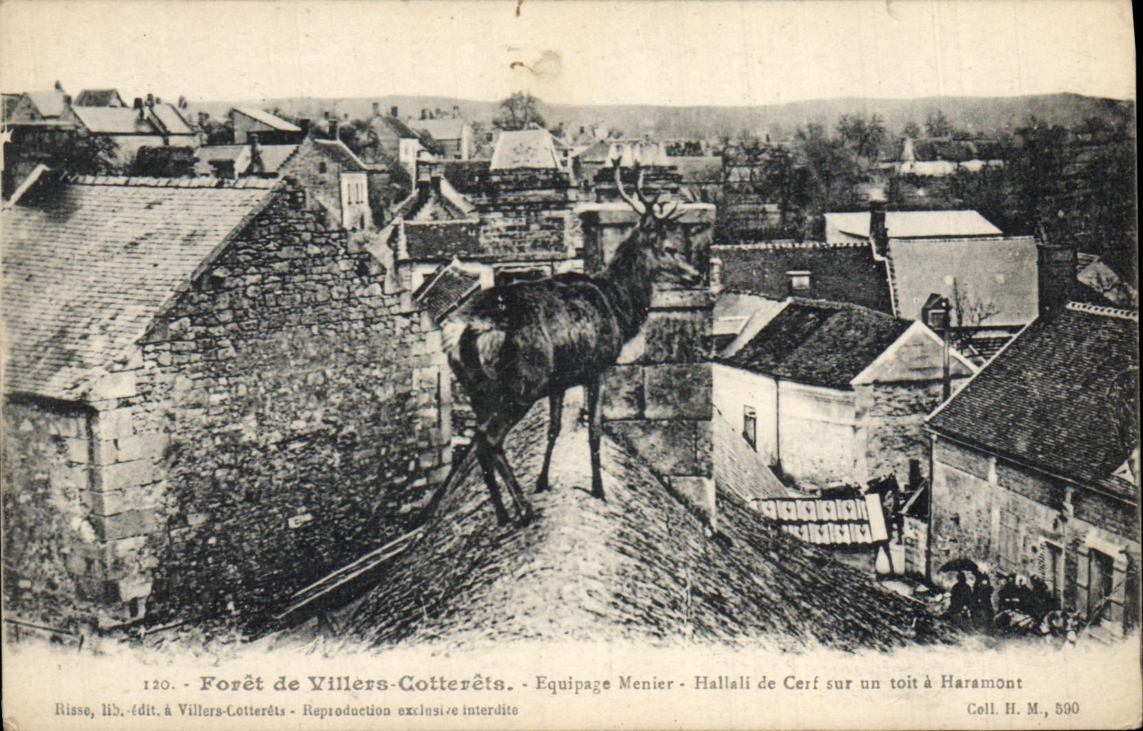 Vintage Postcard Chasse has courre Foret of Villers Cotterets Equipage Menier Hallali of stag on a roof has Haramont