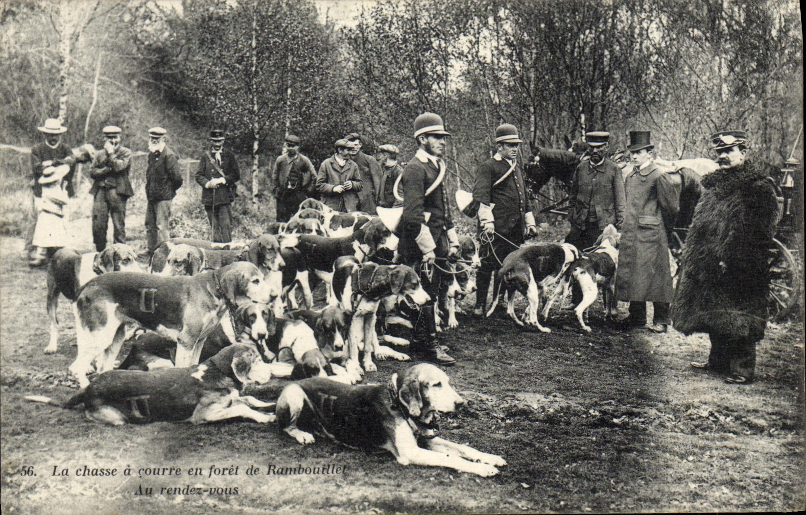 CPA Chasse a courre en foret de Rambouillet au rendez vous Chien Chiens TOP 