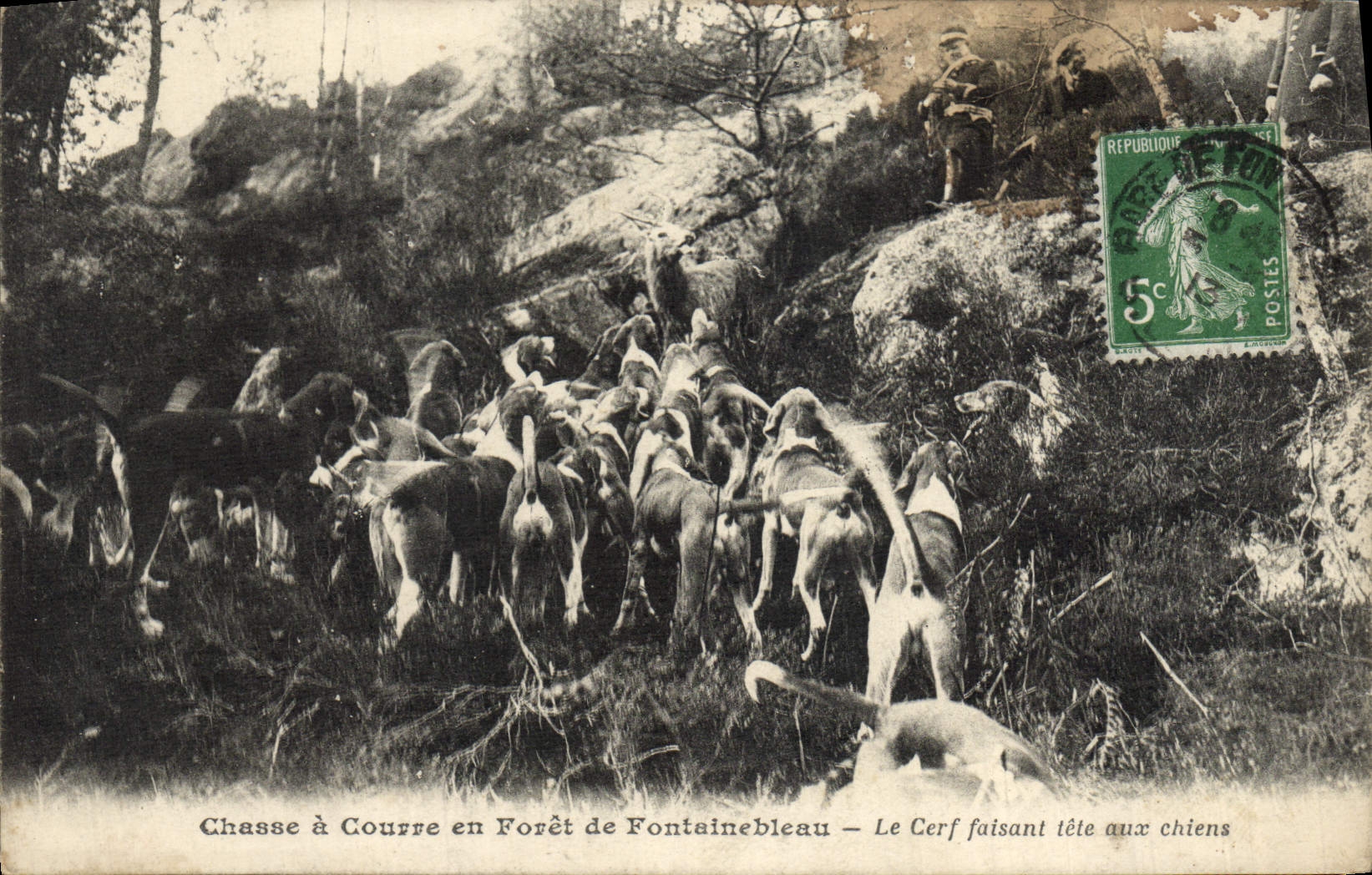Vintage Postcard Chasse has courre out of Drill of Fontainebleau the making stag sucks with the Chien dogs