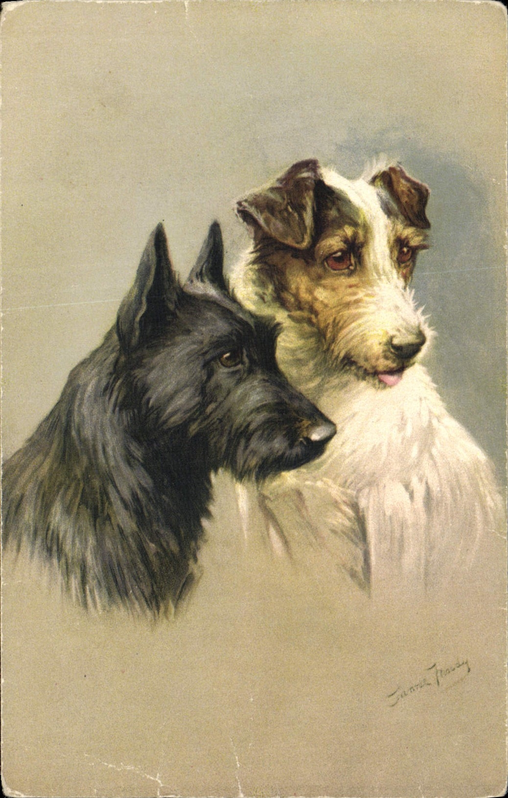 CPA Chiens Chien 