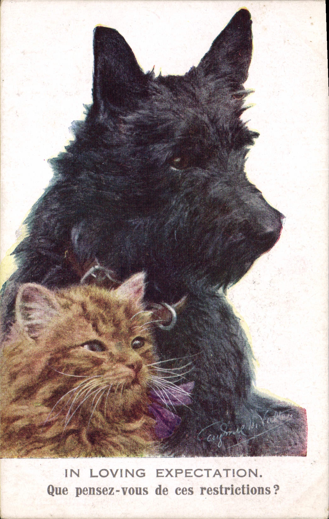 Vintage Postcard Dogs Dog Cat Kitten In loving expectation