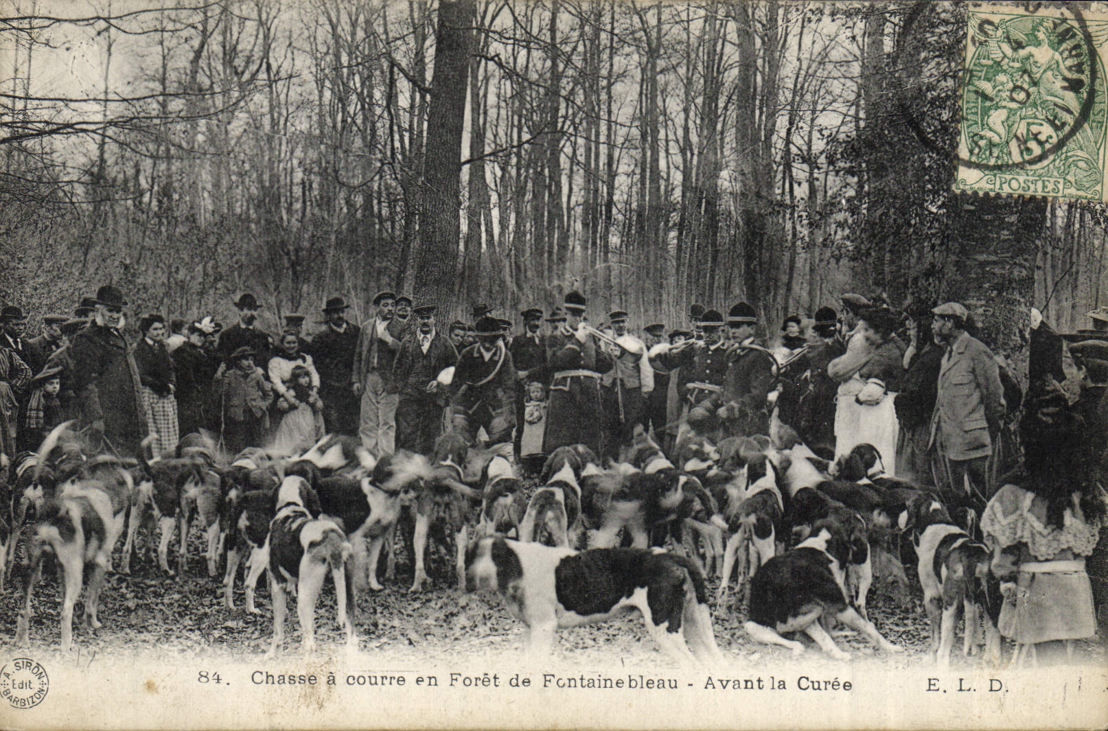 CPA Chasse a courre en Foret de Fontainebleau Avant la curee Chiens Chien TOP
