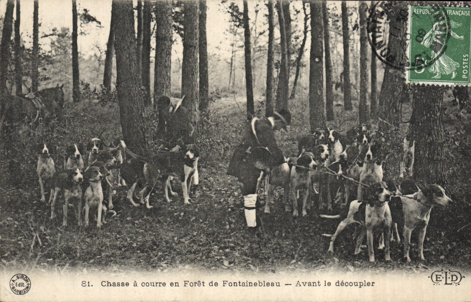 CPA Chasse a courre en Foret de Fontainebleau Avant le decoupler Chiens Chien