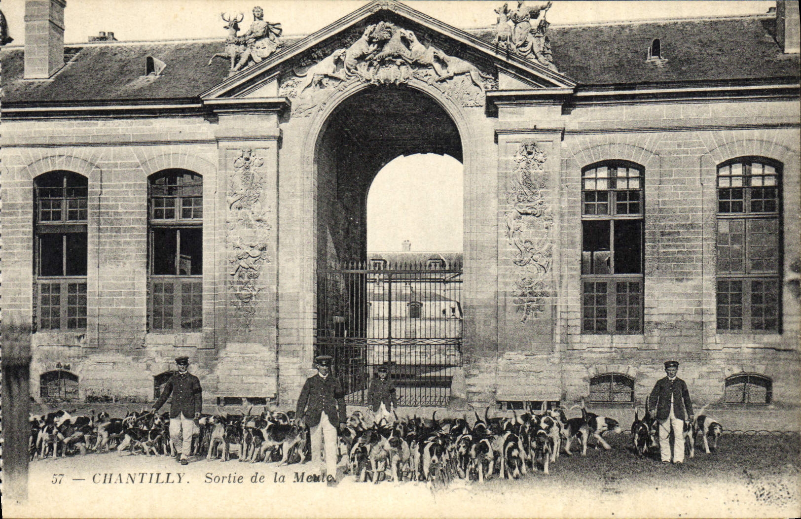 CPA Chasse a courre Chantilly Sortie de la meute Chiens Chien