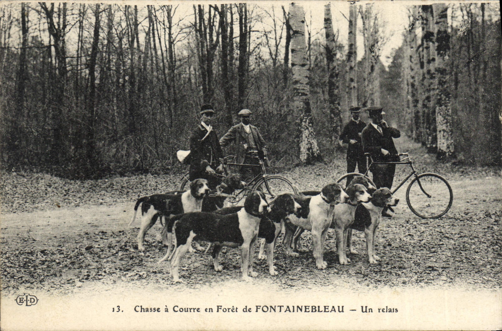 Vintage Postcard Chasse has courre out of Drill of Fontainebleau a Velo relay Cycles