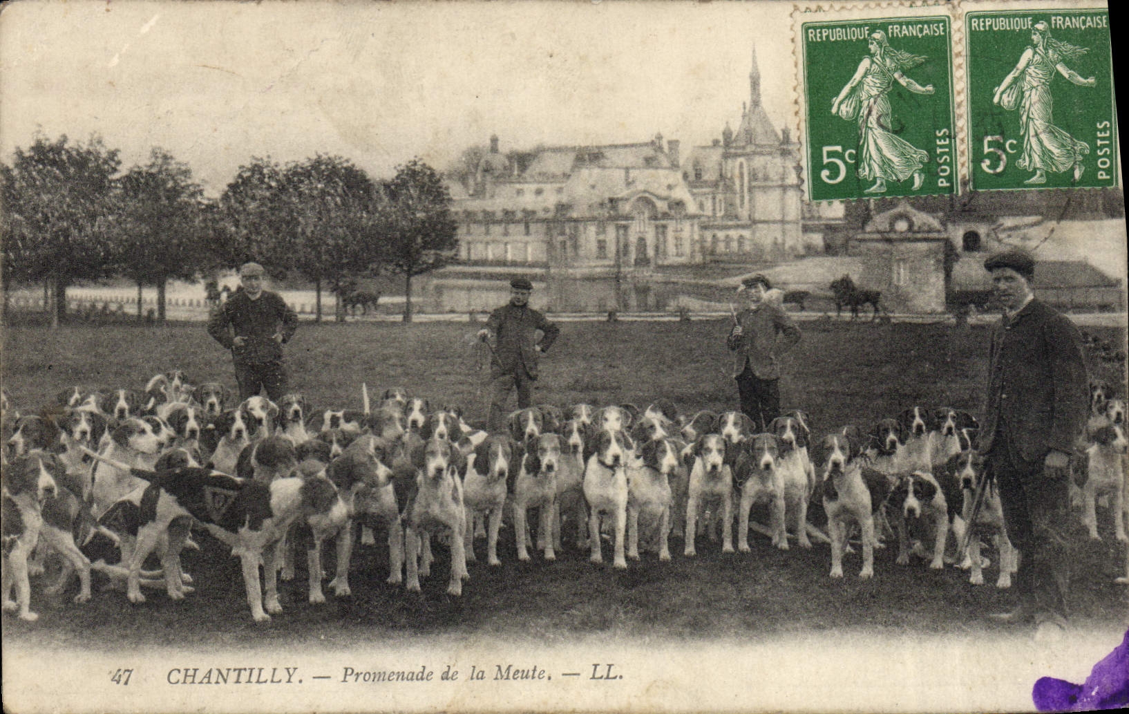 CPA Chasse a courre Chantilly Promenade de la meute Chiens Chien